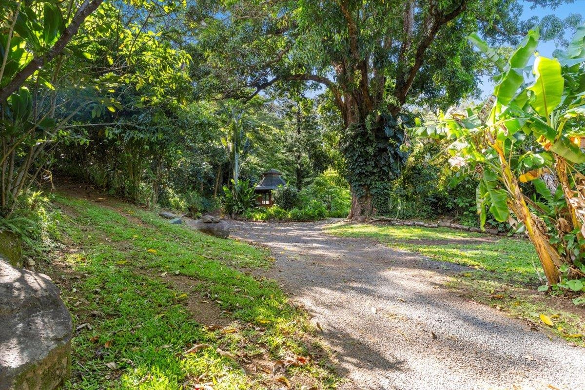 590  Kuiaha Rd , Haiku home - photo 40 of 42