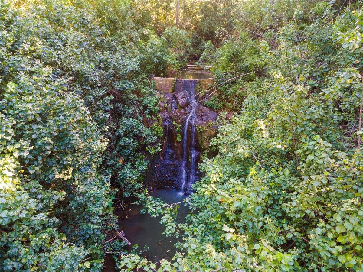 590  Kuiaha Rd , Haiku home - photo 5 of 42