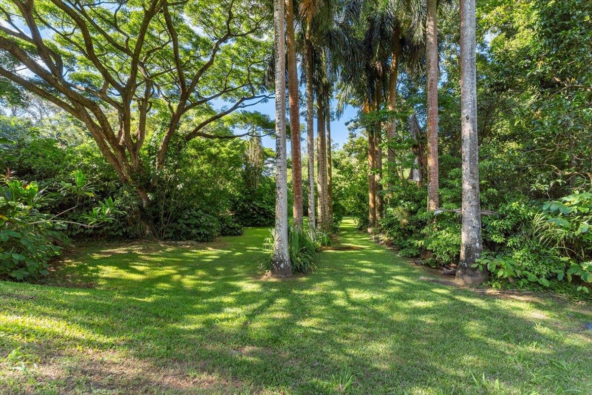 590  Kuiaha Rd , Haiku home - photo 41 of 42