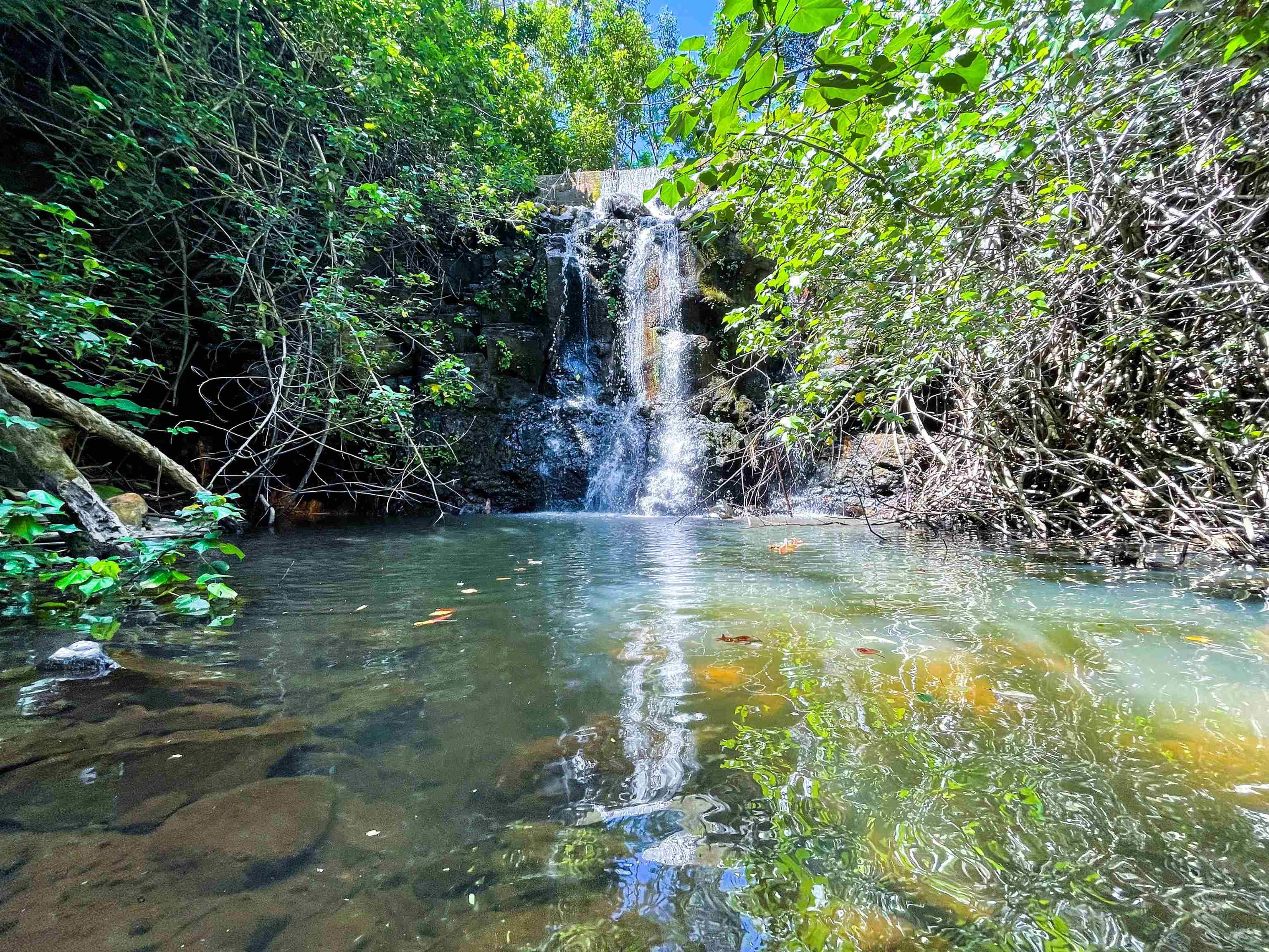 590  Kuiaha Rd , Haiku home - photo 6 of 42