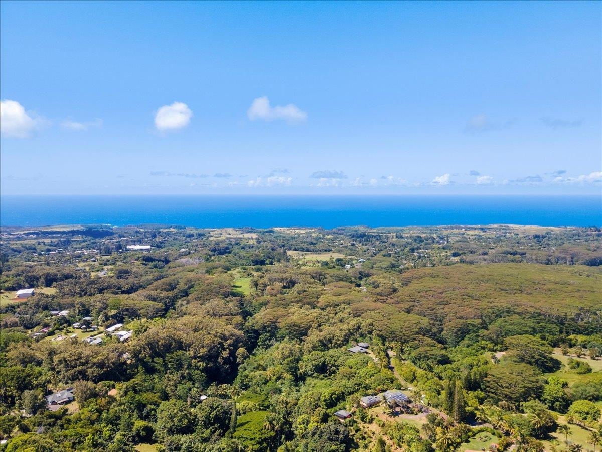 590  Kuiaha Rd , Haiku home - photo 8 of 42