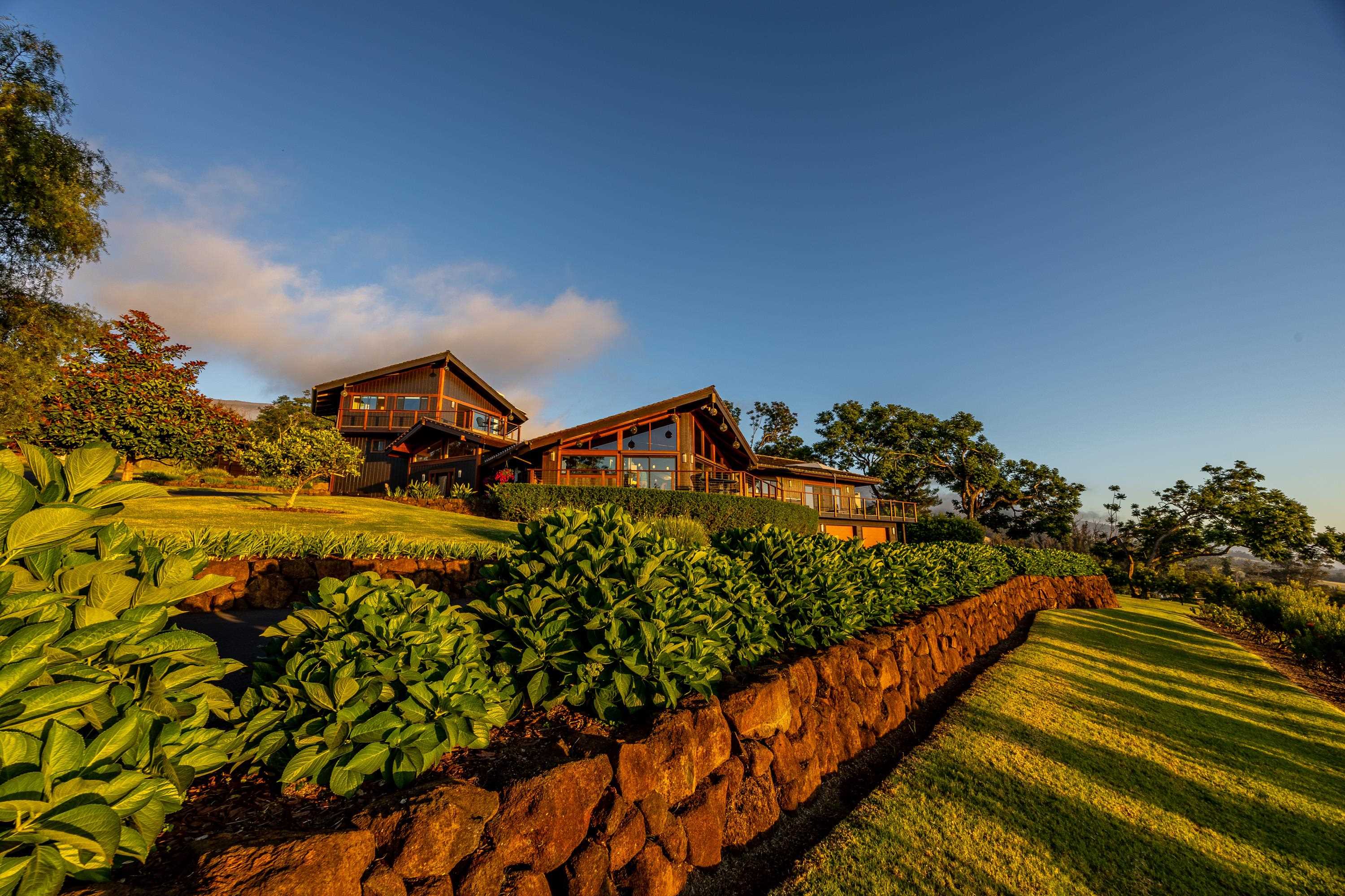 592  Hapapa Rd , Kula/Ulupalakua/Kanaio home - photo 21 of 50