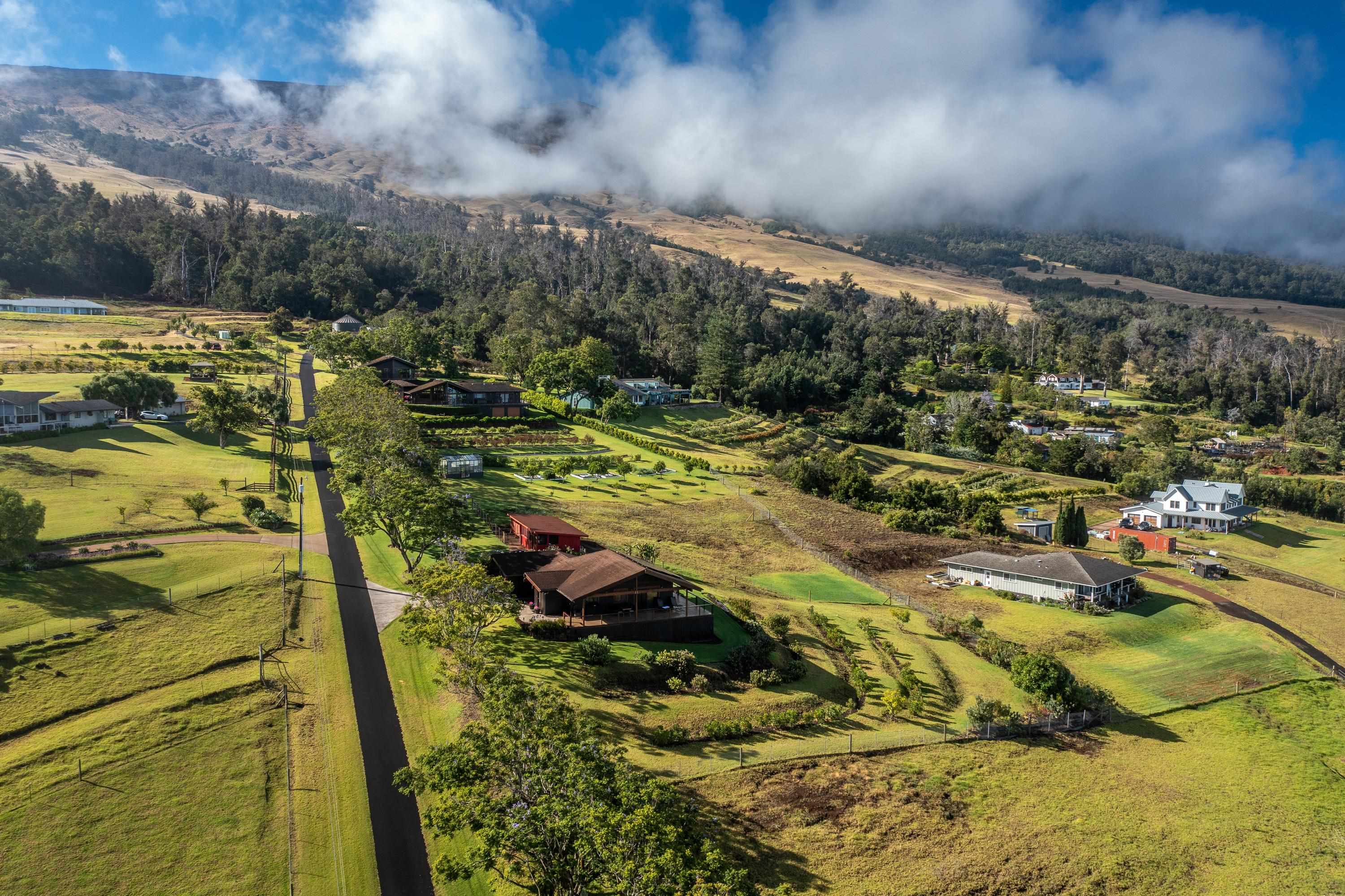 592  Hapapa Rd , Kula/Ulupalakua/Kanaio home - photo 4 of 50