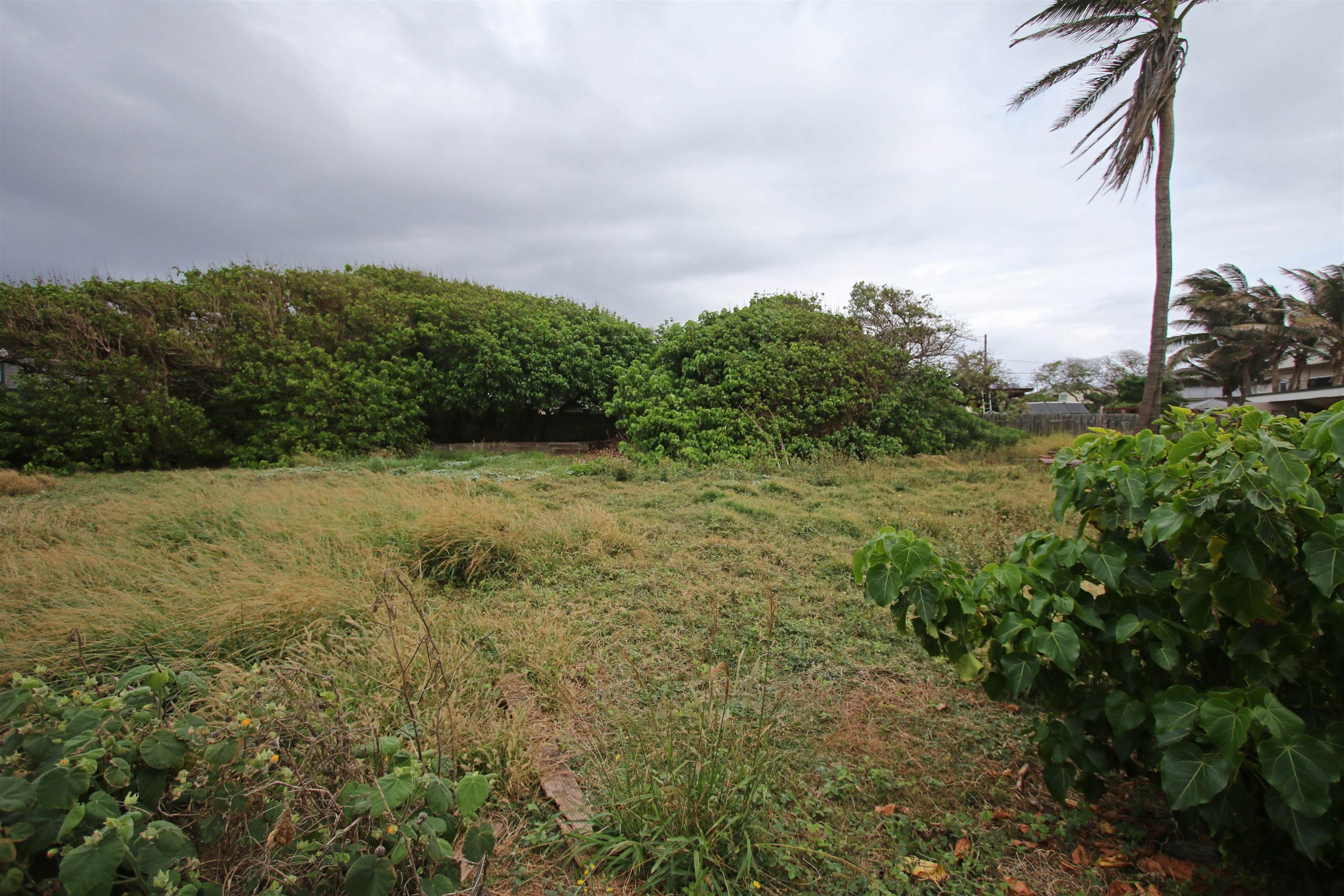 592 linekona Pl  Wailuku, Hi vacant land for sale - photo 24 of 30