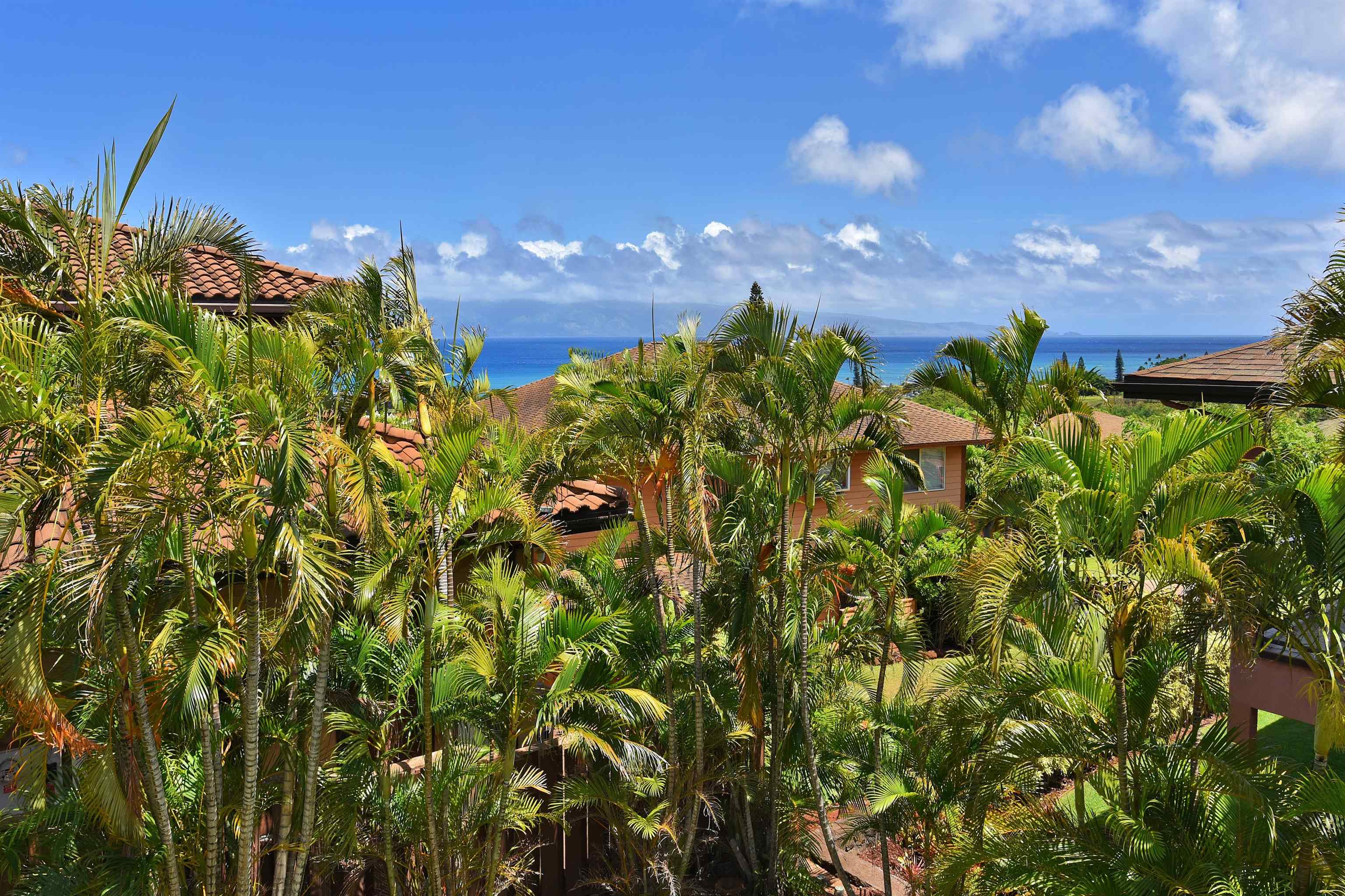 6  Iris Pl Kahana Ridge, Napili/Kahana/Honokowai home - photo 34 of 50