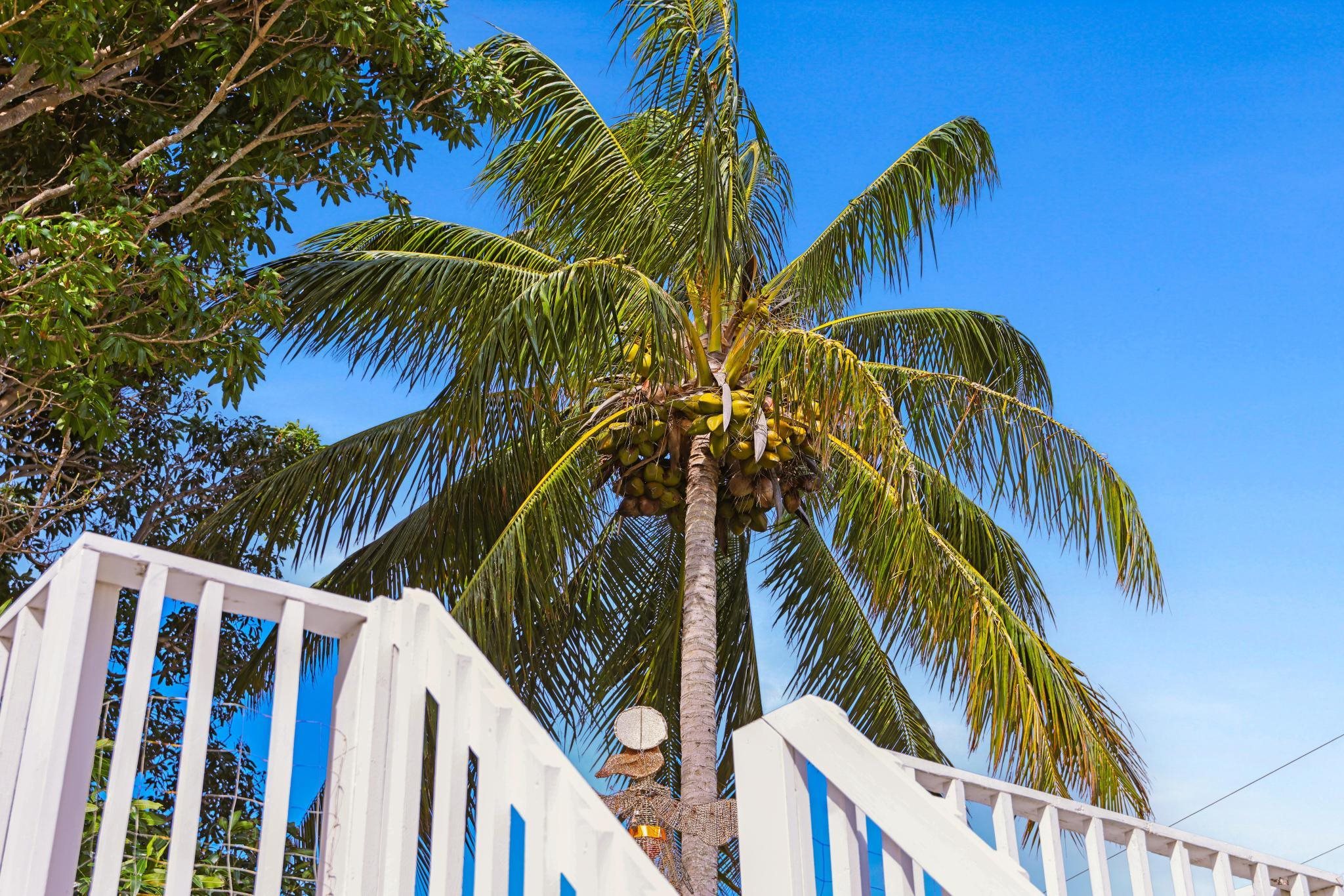 6  Kahope Pl Haiku Community Center, Haiku home - photo 44 of 49