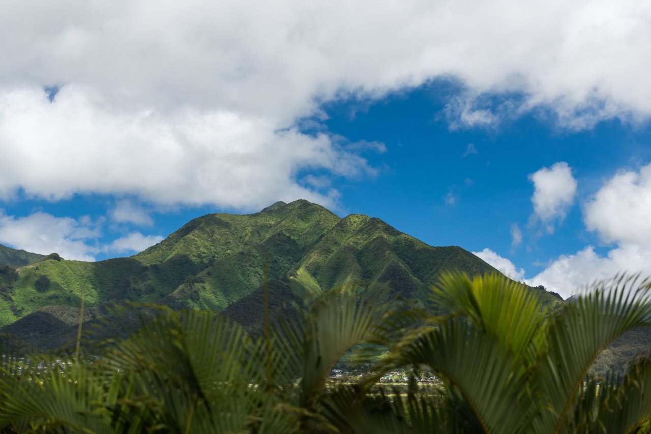 6  Loihi Pl Maui Lani, Kahului home - photo 20 of 30