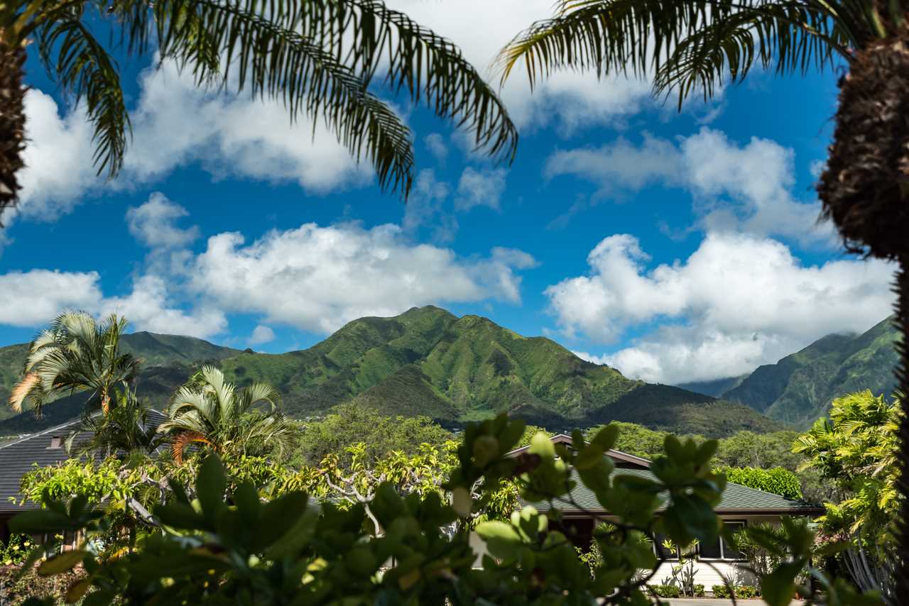 6  Loihi Pl Maui Lani, Kahului home - photo 6 of 30