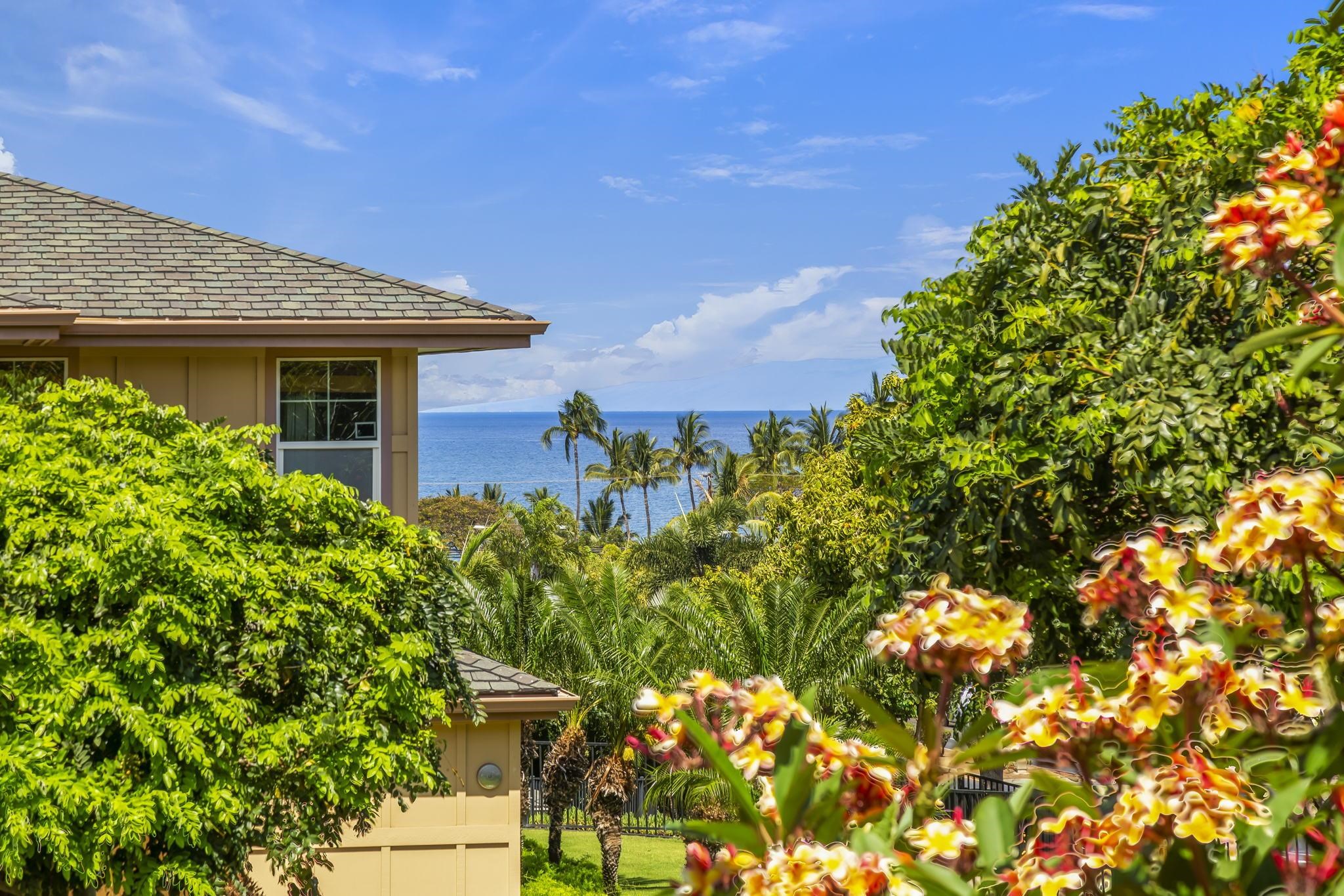 Ke Alii Ocean Villas condo # M105, Kihei, Hawaii - photo 28 of 30