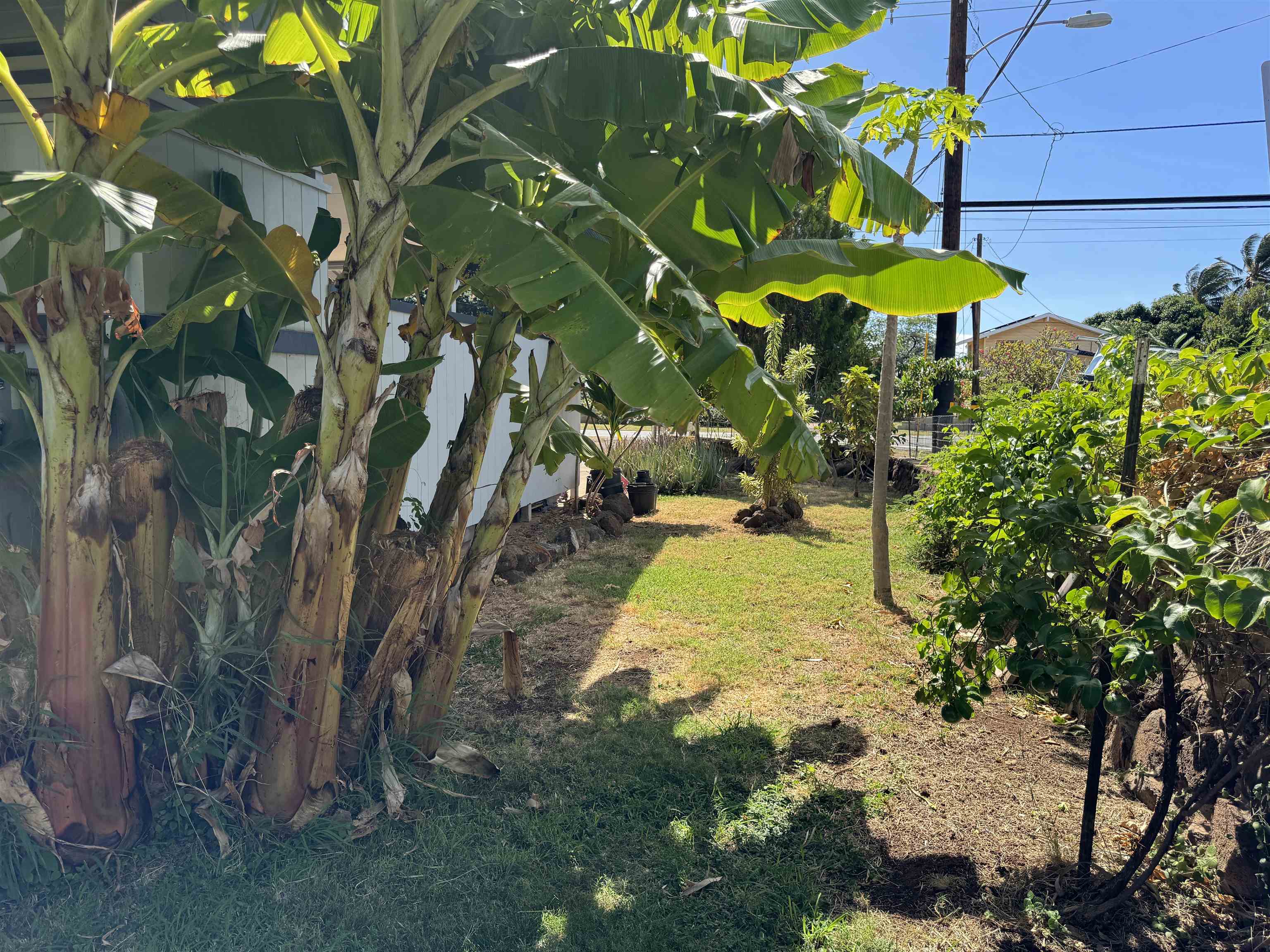 6  Pano Pl Kamiloloa, Molokai home - photo 19 of 20