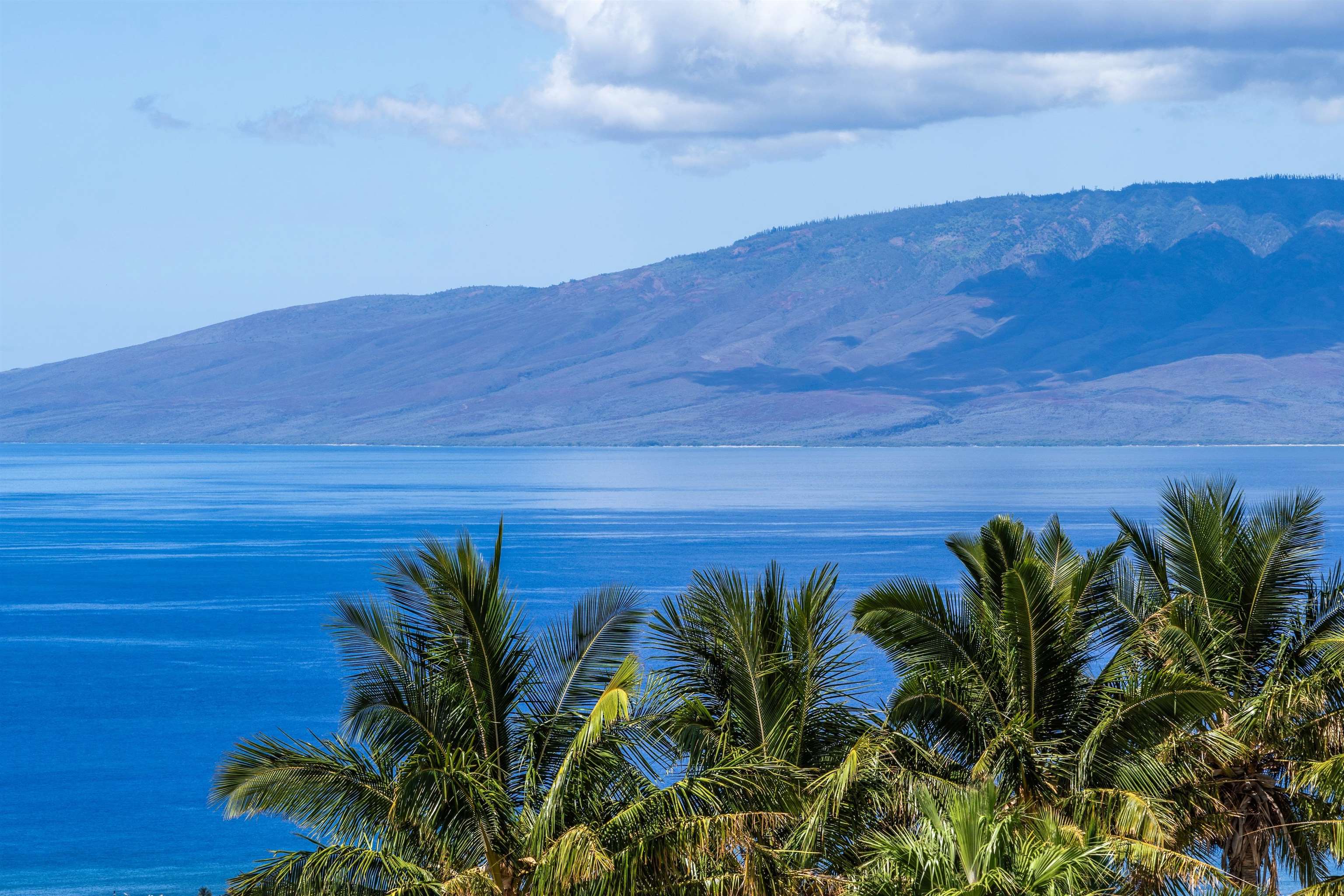 60  Huapala Pl Manalua Nui, Lahaina home - photo 27 of 50