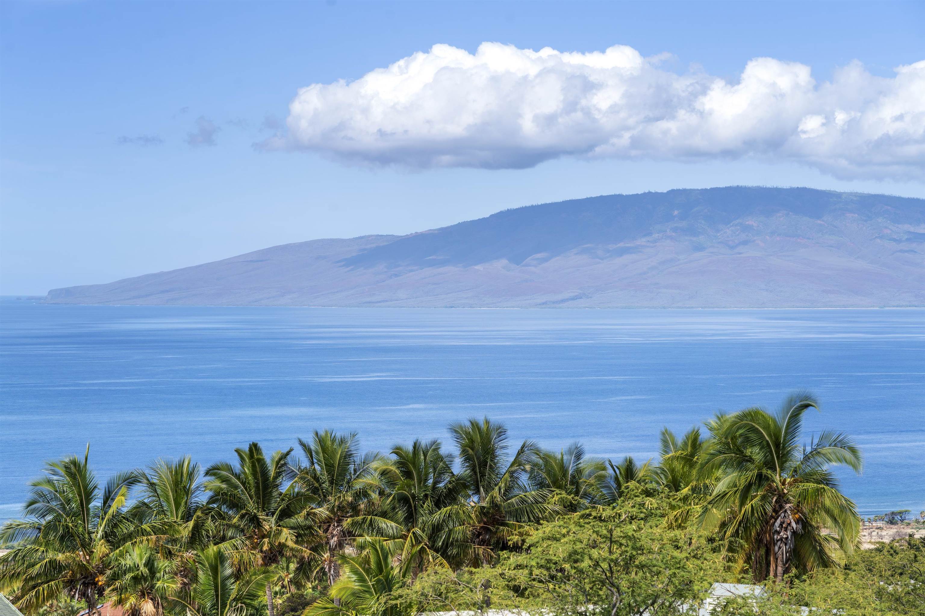 60  Huapala Pl Manalua Nui, Lahaina home - photo 40 of 50