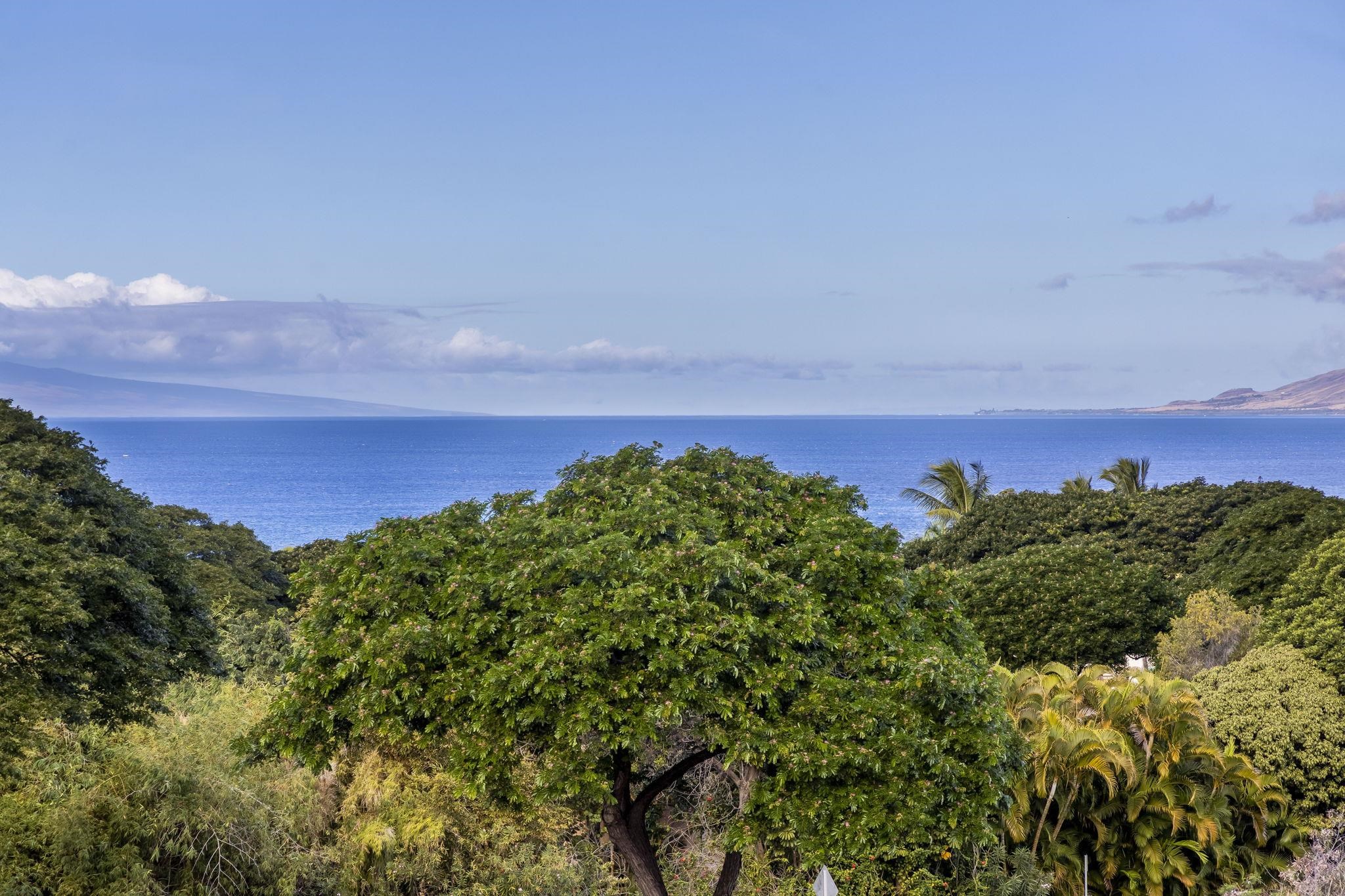 La'i Loa condo # 202, Kihei, Hawaii - photo 3 of 48