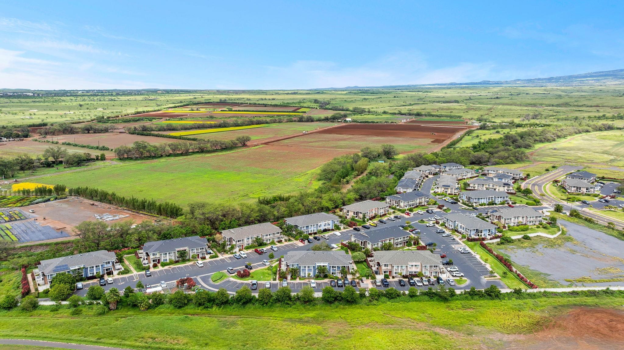 Flats at Kamalani condo # 1007, Kihei, Hawaii - photo 38 of 50
