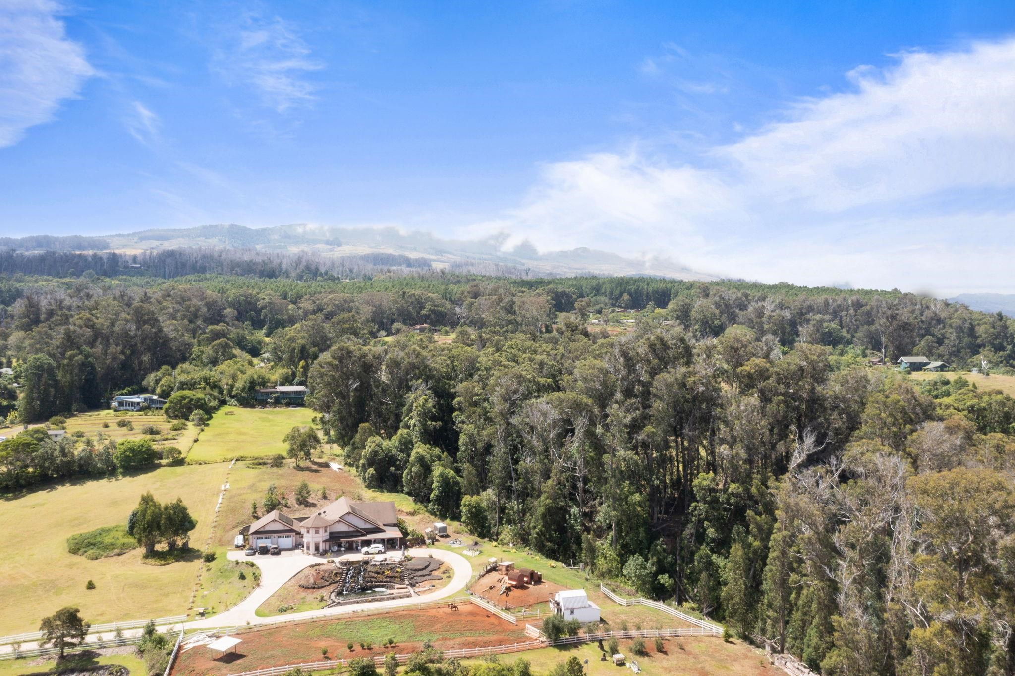 60  Naniuka Pl Olinda/ Makawao, Makawao/Olinda/Haliimaile home - photo 35 of 45
