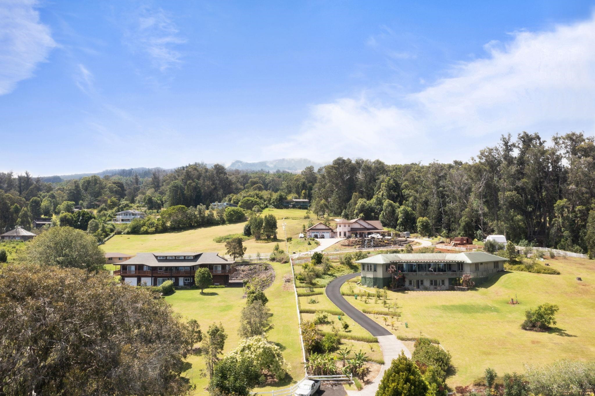 60  Naniuka Pl Olinda/ Makawao, Makawao/Olinda/Haliimaile home - photo 37 of 45