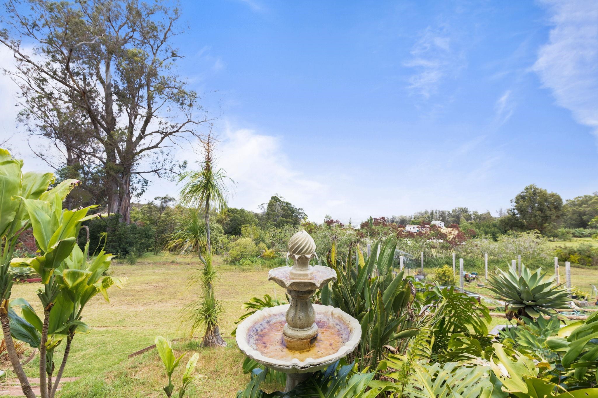 60  Naniuka Pl Olinda/ Makawao, Makawao/Olinda/Haliimaile home - photo 7 of 45