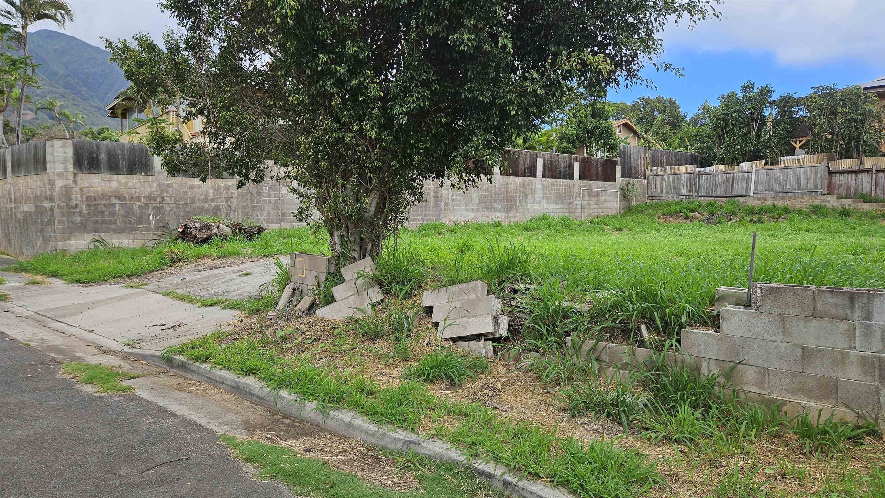 60 Wilikona Pl  Wailuku, Hi vacant land for sale - photo 3 of 7
