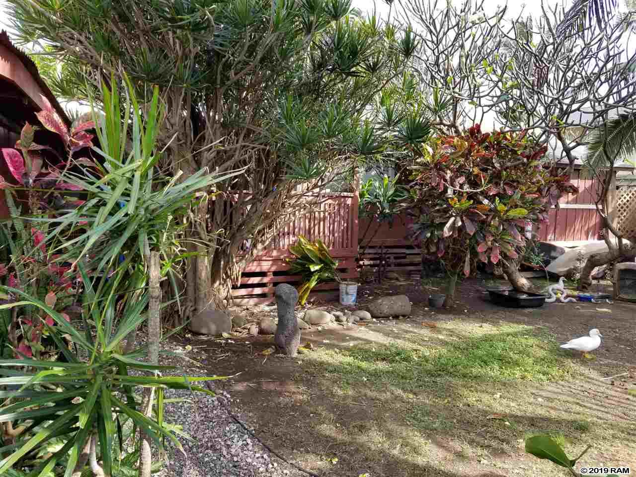 600  Kailana St , Wailuku home - photo 2 of 29