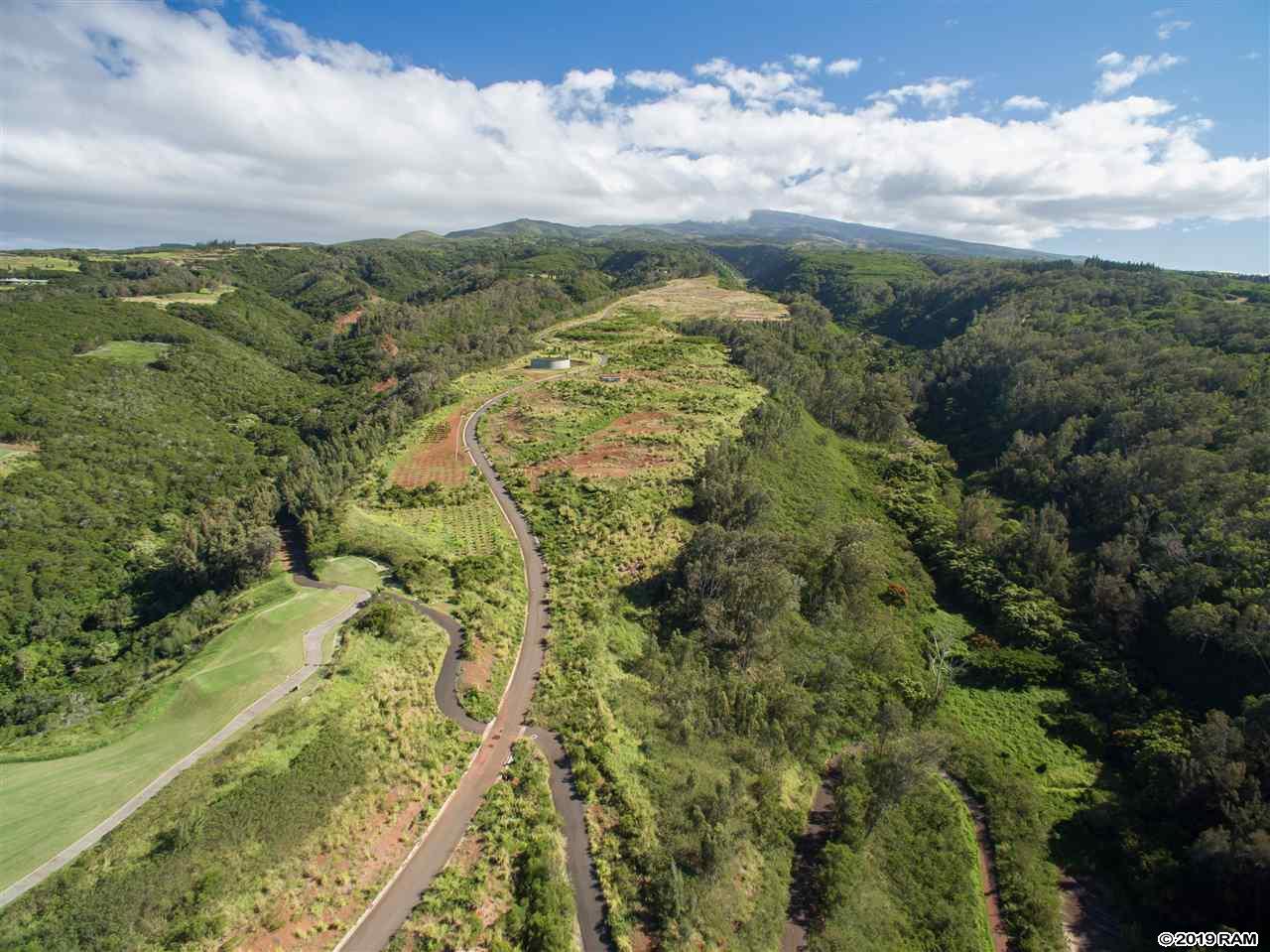 600 Mahana Ridge St 35 Lahaina, Hi vacant land for sale - photo 5 of 6