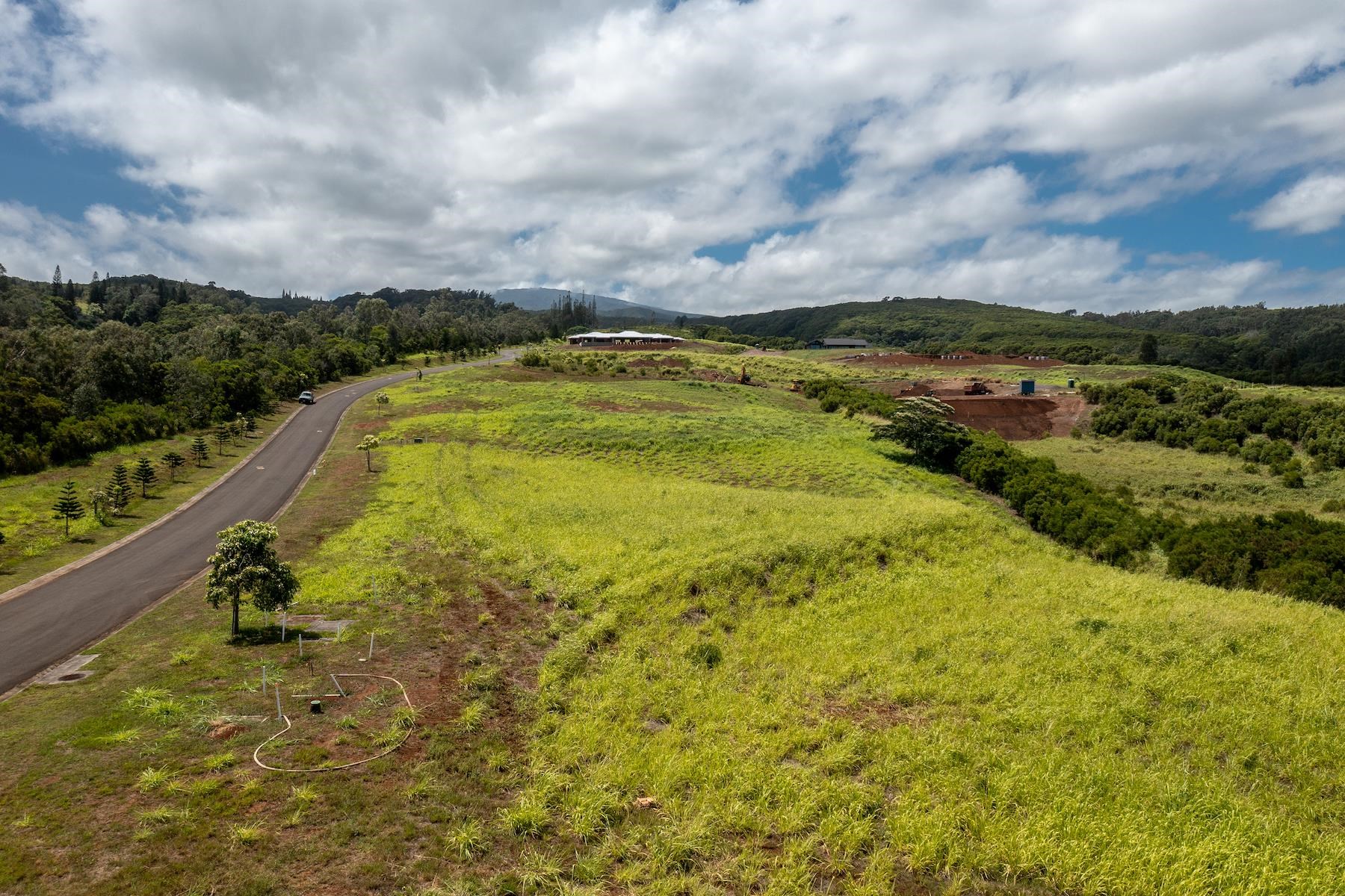 600 Mahana Ridge St  Lahaina, Hi vacant land for sale - photo 2 of 8