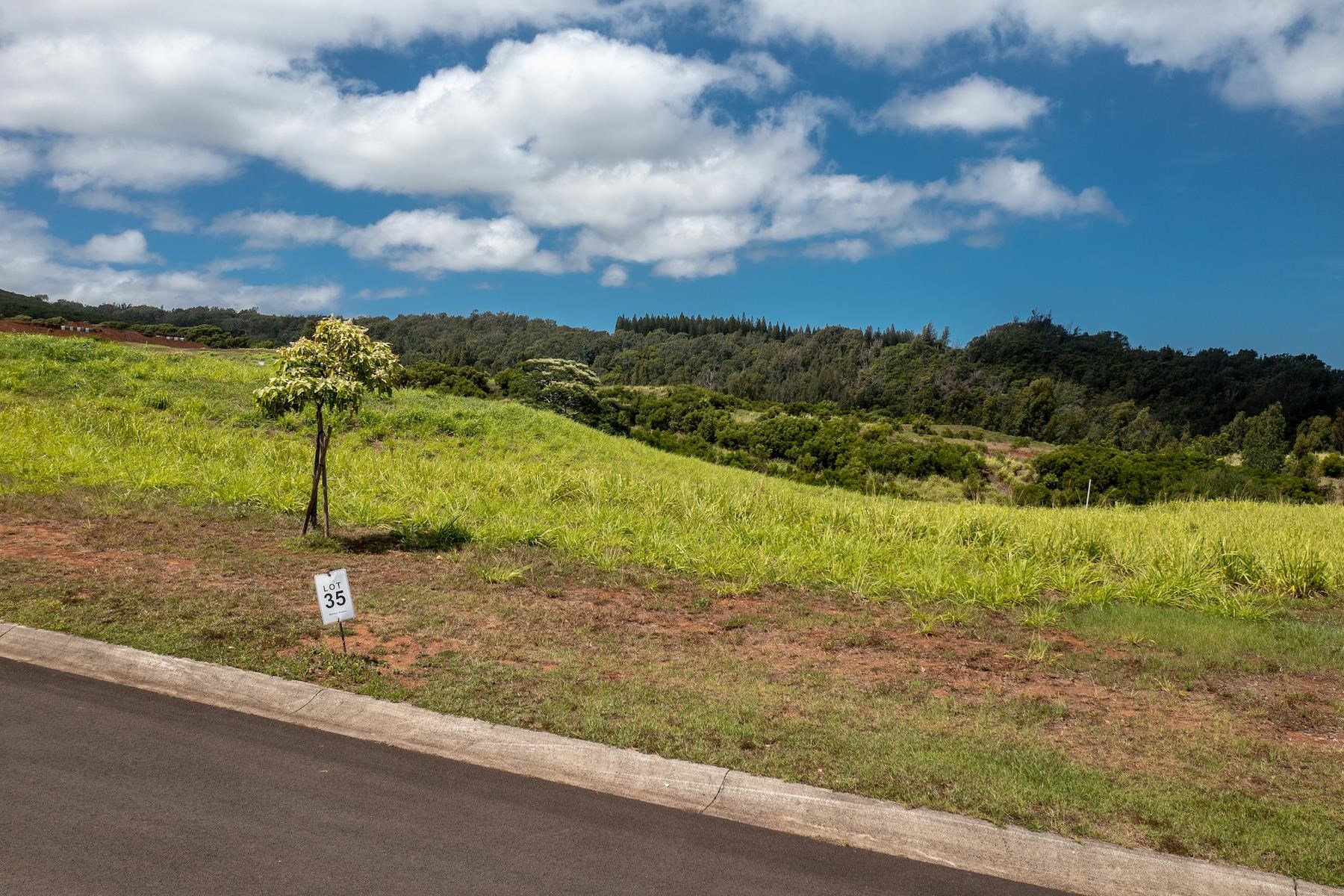 600 Mahana Ridge St  Lahaina, Hi vacant land for sale - photo 3 of 8