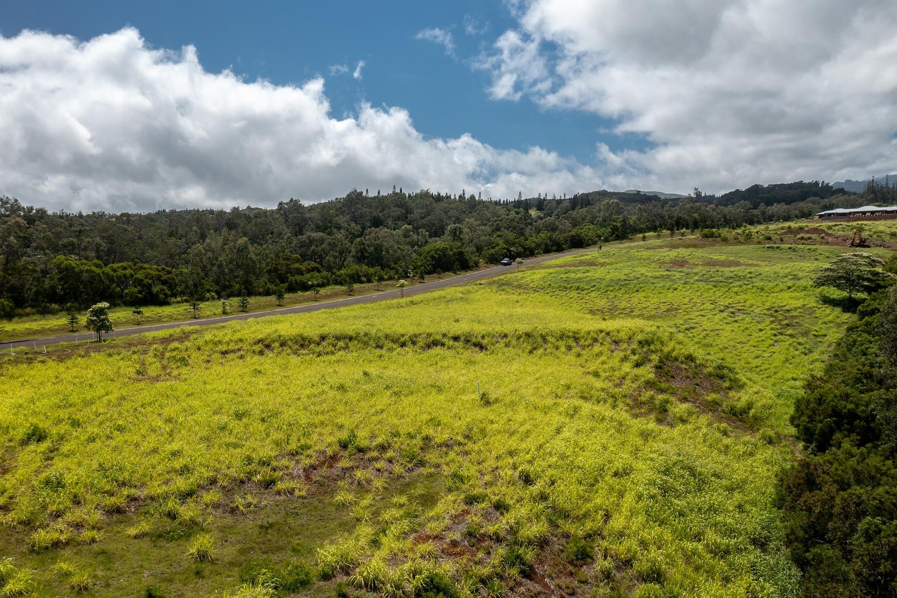 600 Mahana Ridge St  Lahaina, Hi vacant land for sale - photo 5 of 8