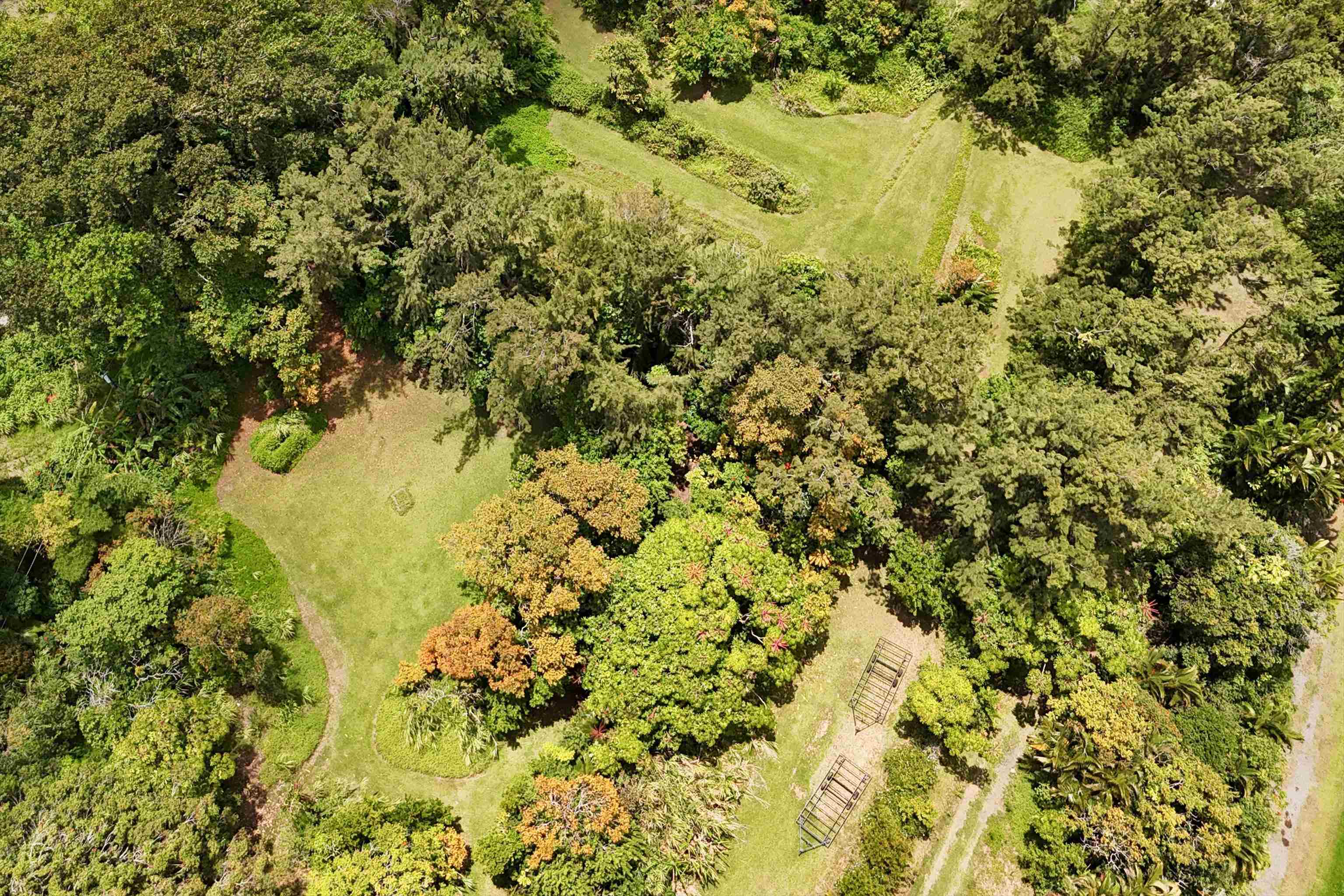 605  Kaupakalua Rd , Haiku home - photo 26 of 44