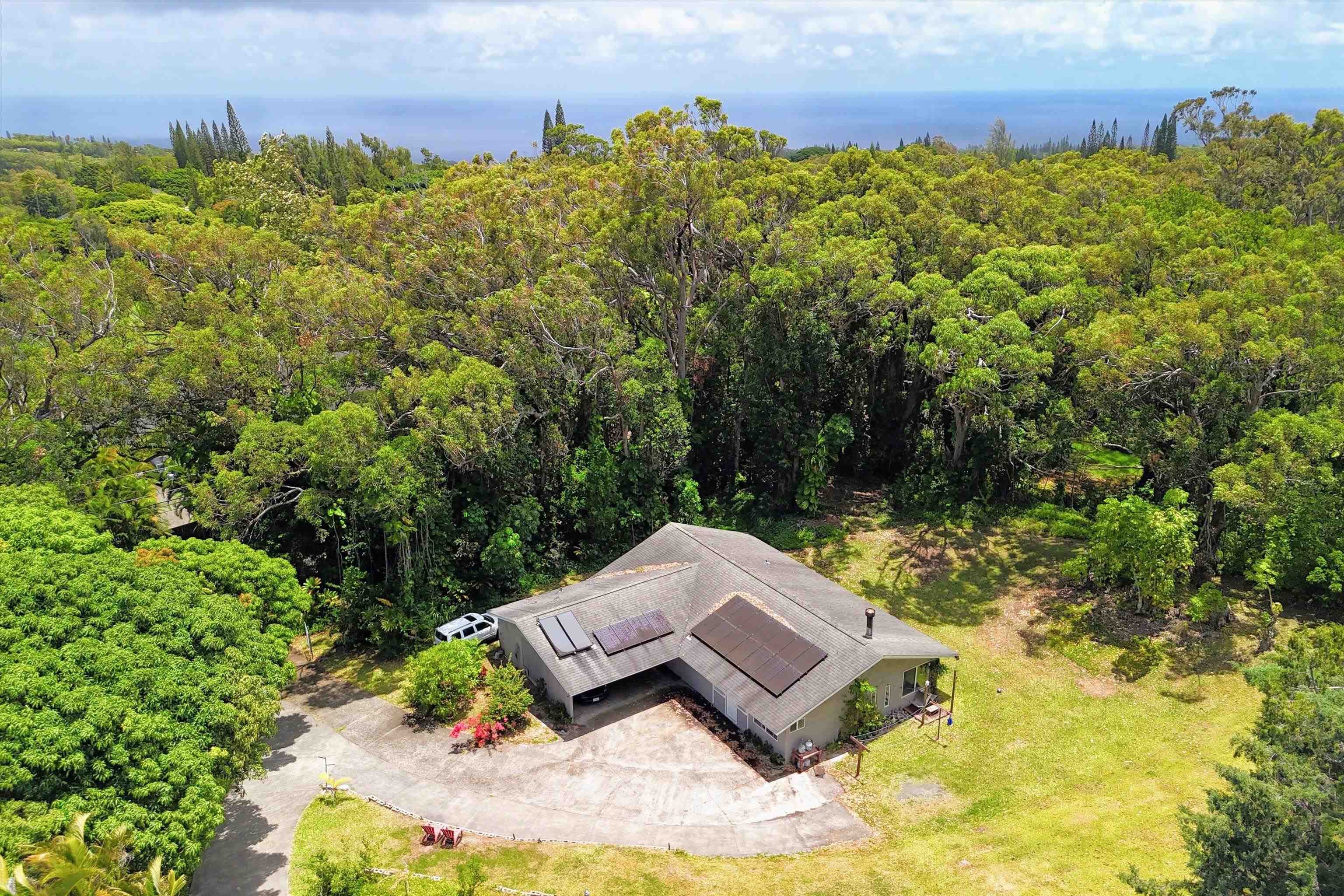 605  Kaupakalua Rd , Haiku home - photo 28 of 44