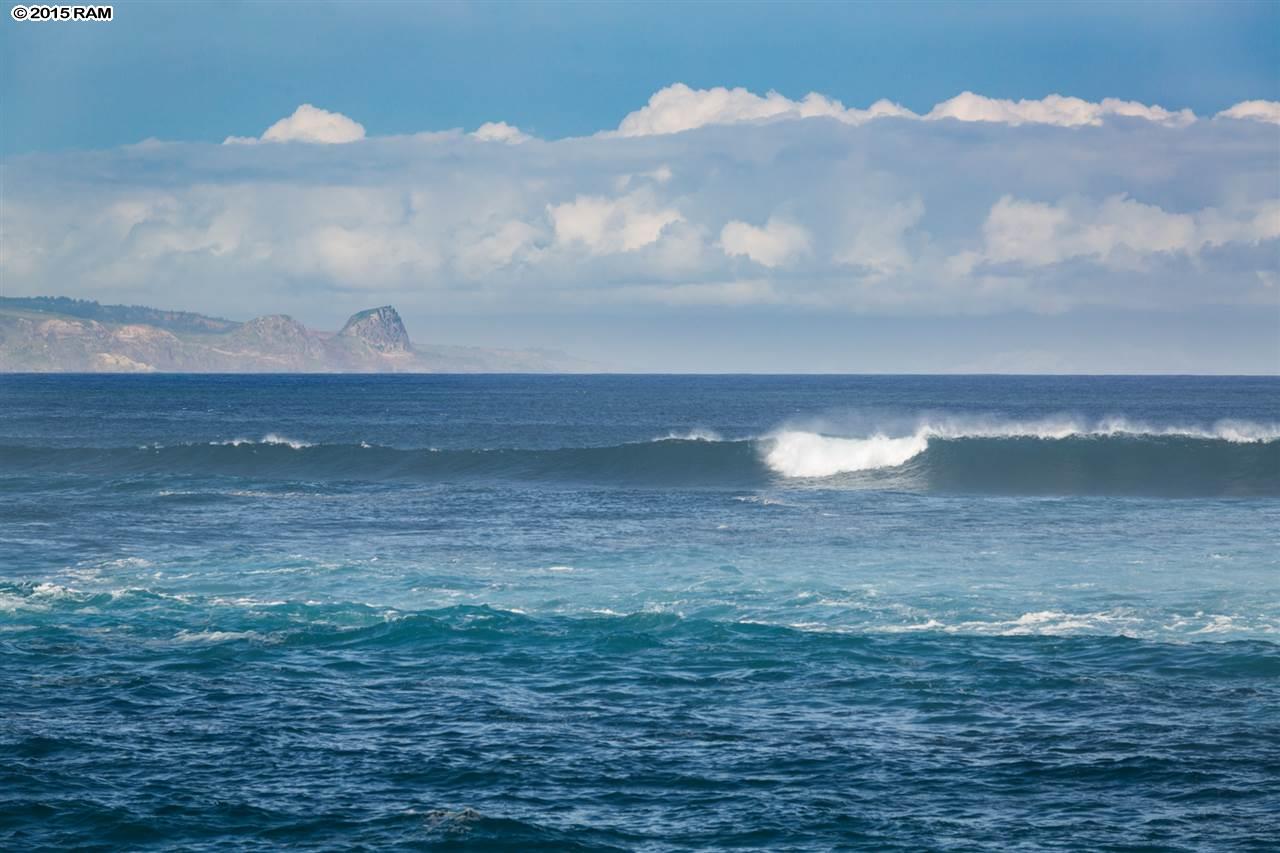 61 Aleiki Pl  Paia, Hi vacant land for sale - photo 13 of 18