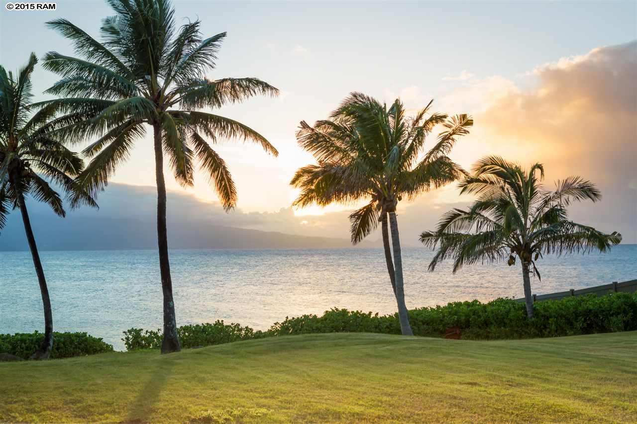 61 Aleiki Pl  Paia, Hi vacant land for sale - photo 6 of 18