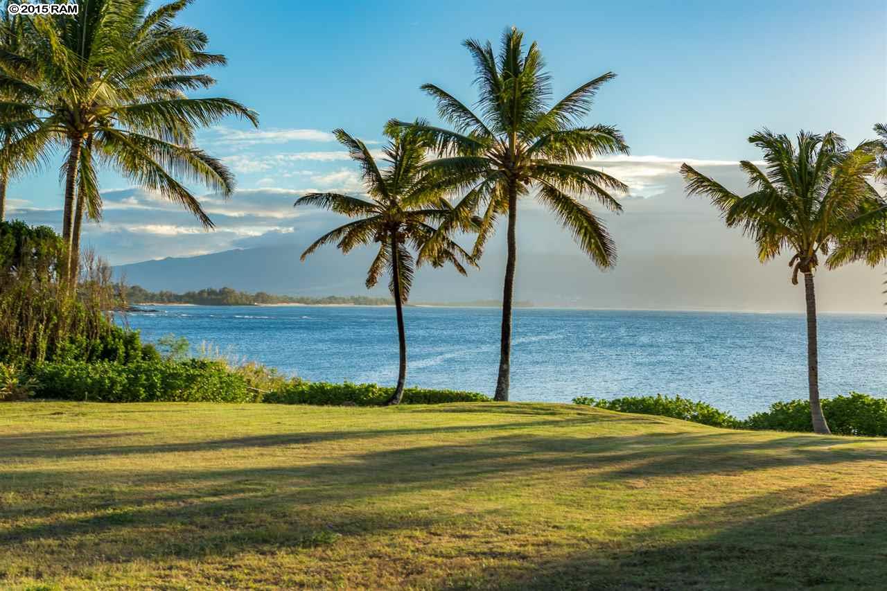 61 Aleiki Pl  Paia, Hi vacant land for sale - photo 8 of 18