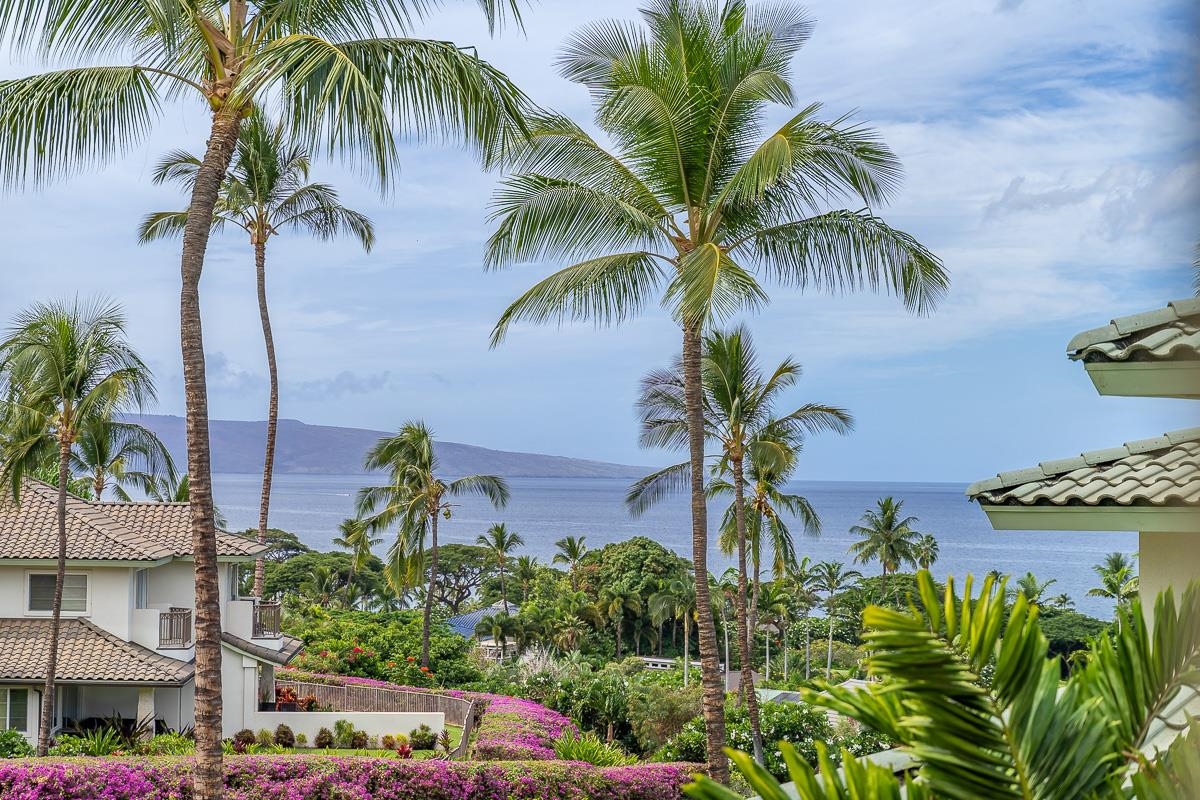 Kai Malu condo # 61, Kihei, Hawaii - photo 38 of 50