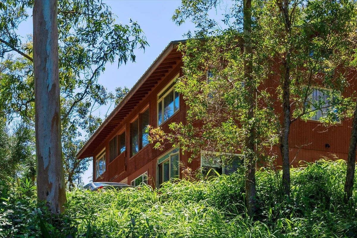 61  Kee Rd Makawao, Makawao/Olinda/Haliimaile home - photo 15 of 50