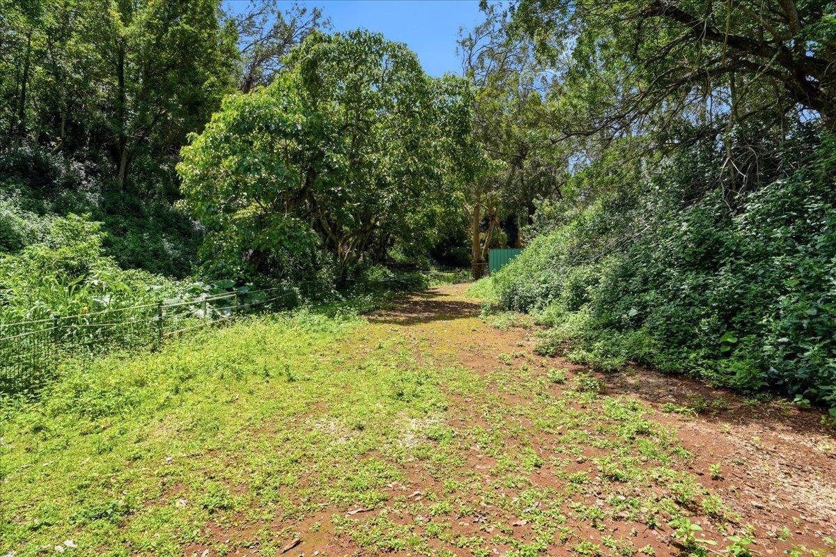 61  Kee Rd Makawao, Makawao/Olinda/Haliimaile home - photo 38 of 50