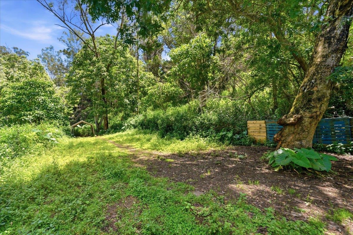 61  Kee Rd Makawao, Makawao/Olinda/Haliimaile home - photo 40 of 50