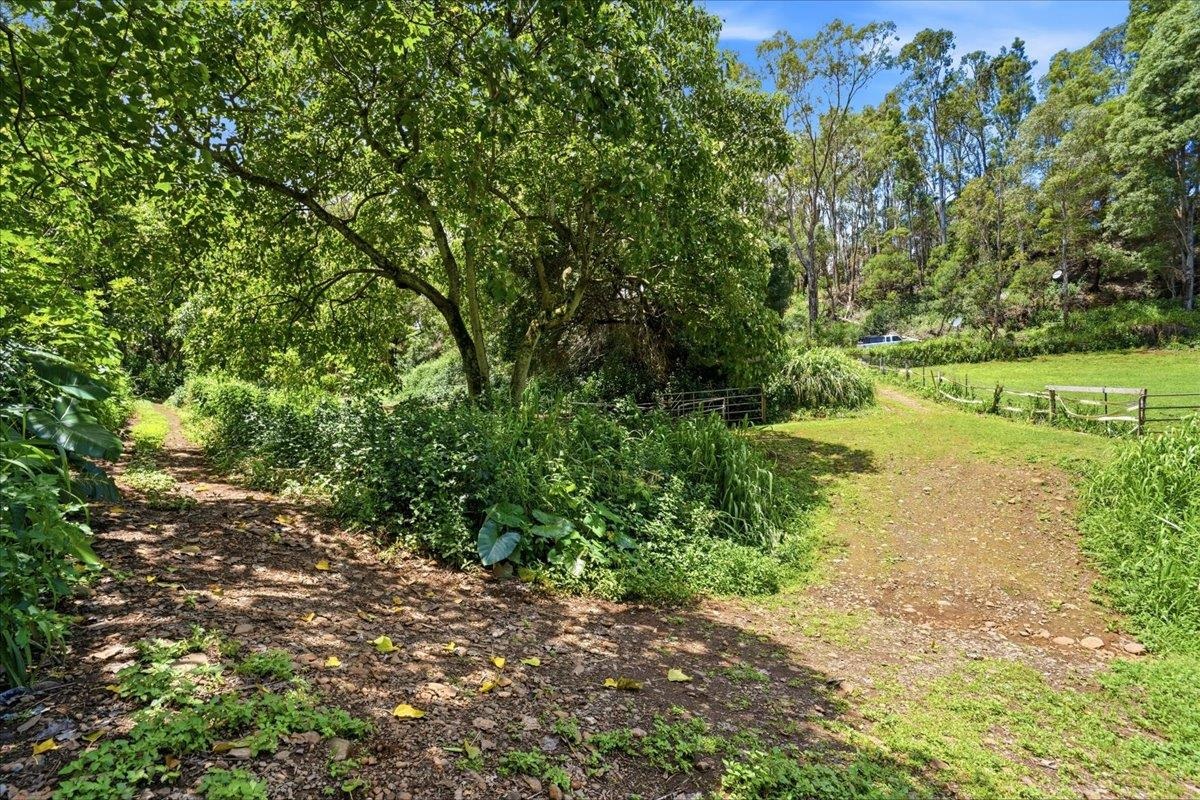 61  Kee Rd Makawao, Makawao/Olinda/Haliimaile home - photo 41 of 50