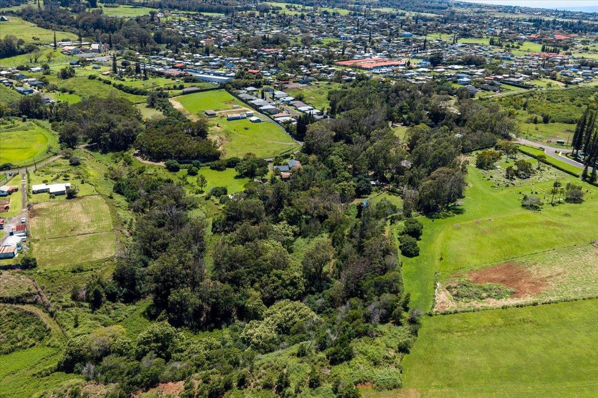 61  Kee Rd Makawao, Makawao/Olinda/Haliimaile home - photo 47 of 50