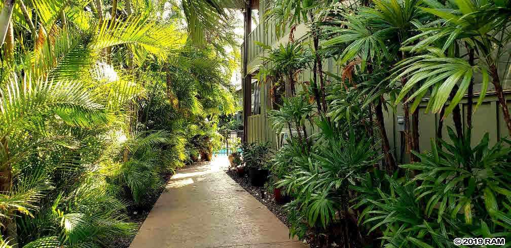 Kihei Kai condo # 14, Kihei, Hawaii - photo 2 of 30