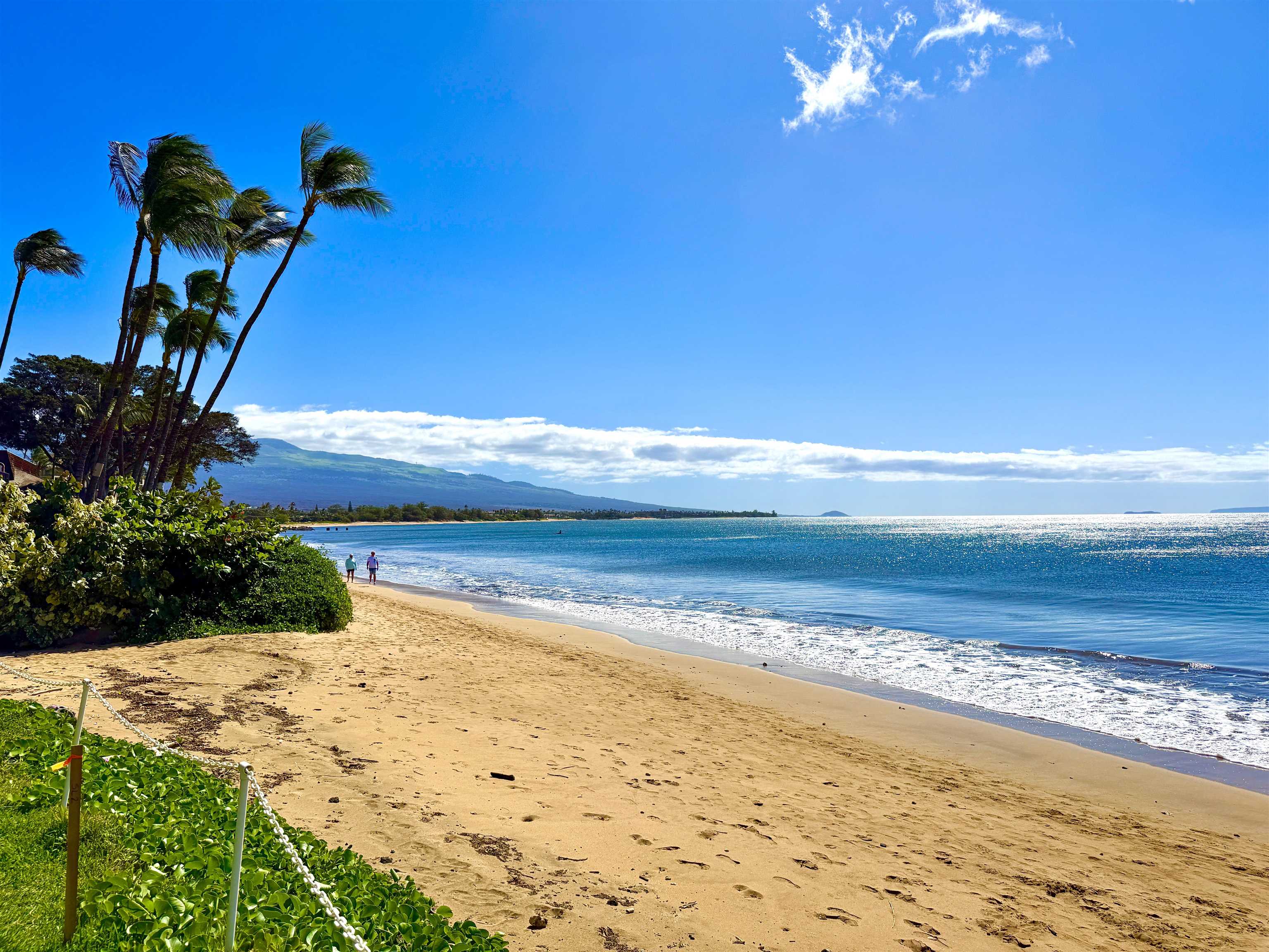 Kihei Kai condo # 18, Kihei, Hawaii - photo 21 of 22