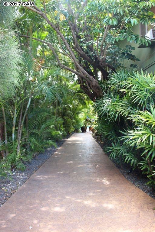 Kihei Kai condo # 3, Kihei, Hawaii - photo 24 of 24