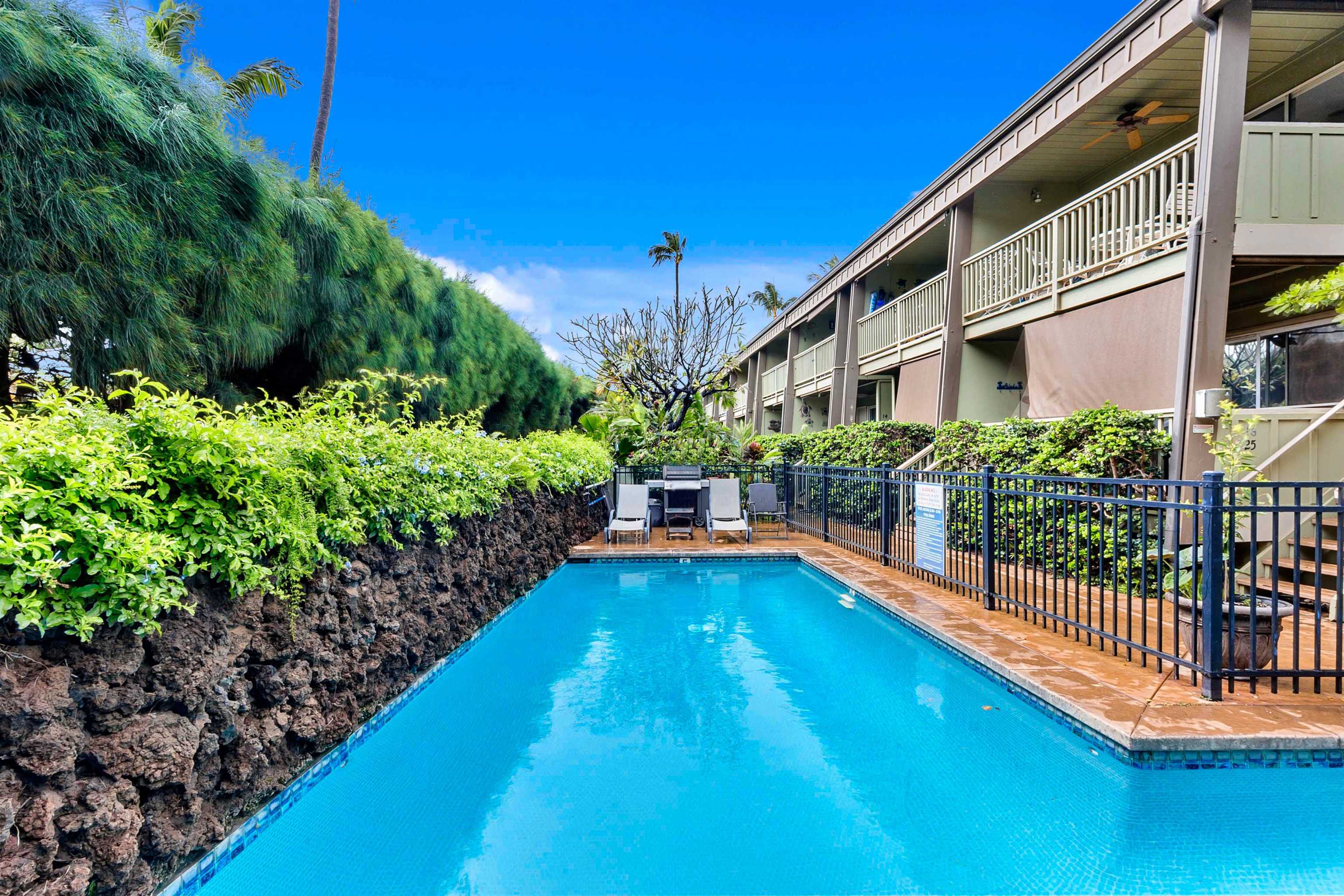 Kihei Kai condo # 4, Kihei, Hawaii - photo 28 of 33