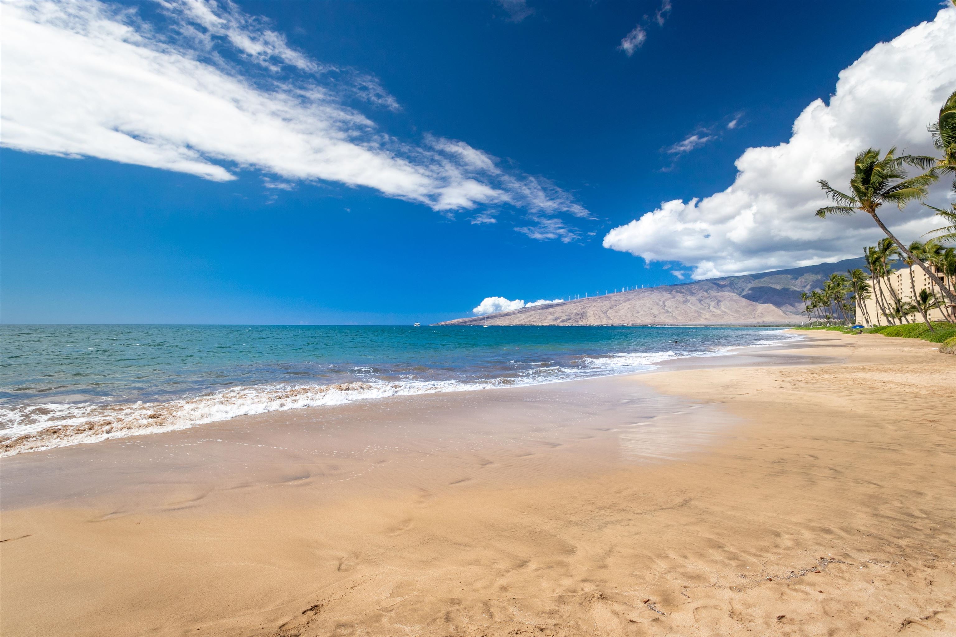 Kihei Kai condo # 4, Kihei, Hawaii - photo 5 of 35