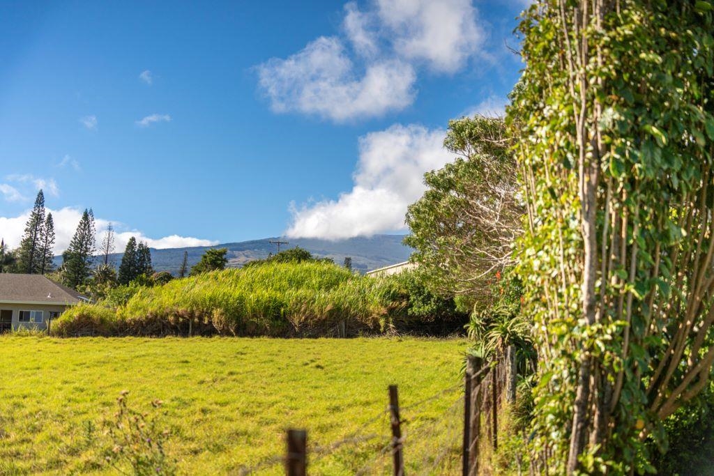 61  Pua Ina Pl Makawao, Makawao/Olinda/Haliimaile home - photo 11 of 29