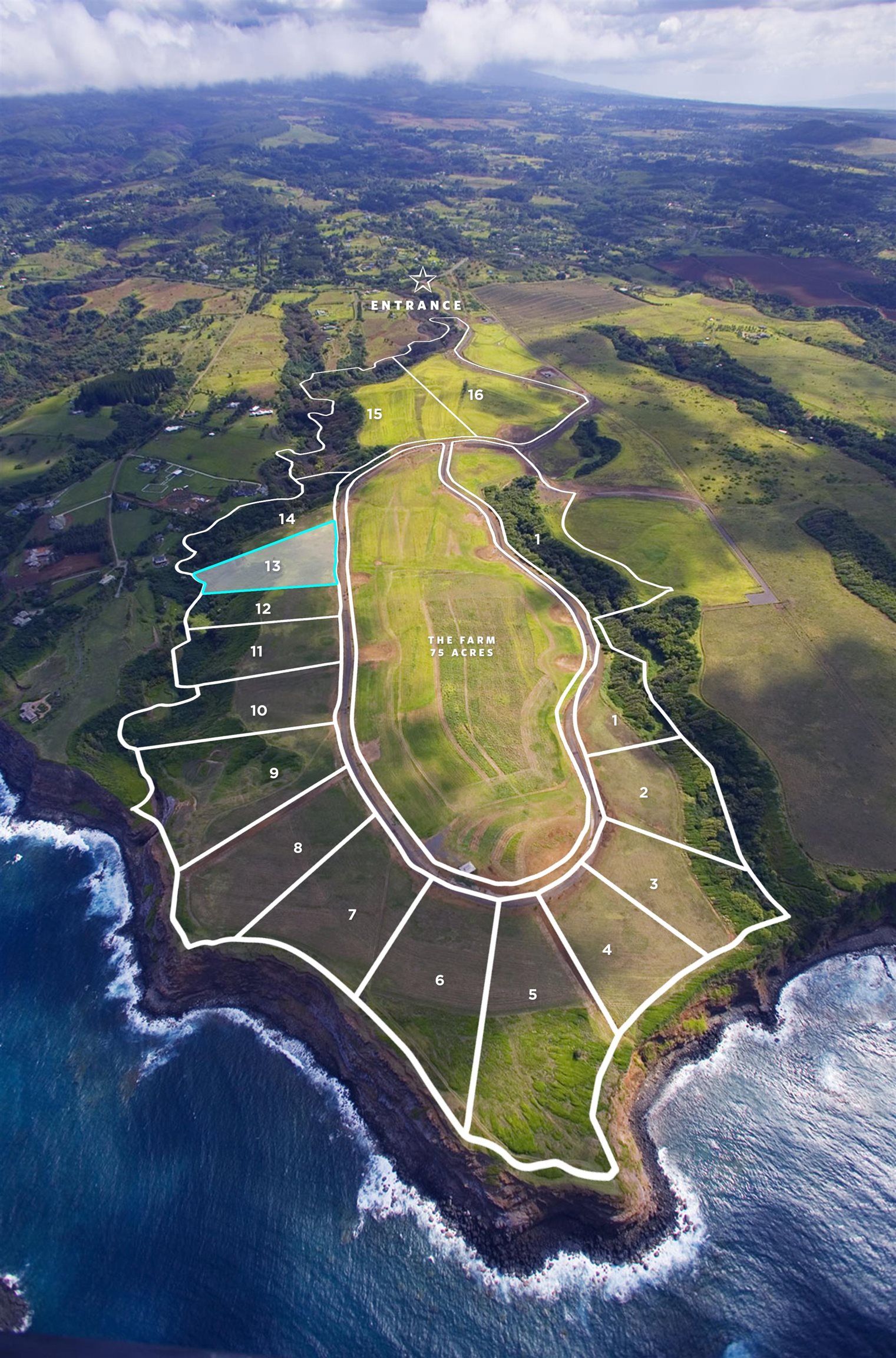 610 Kai Huki Cir Opana Point  - photo 2 of 10