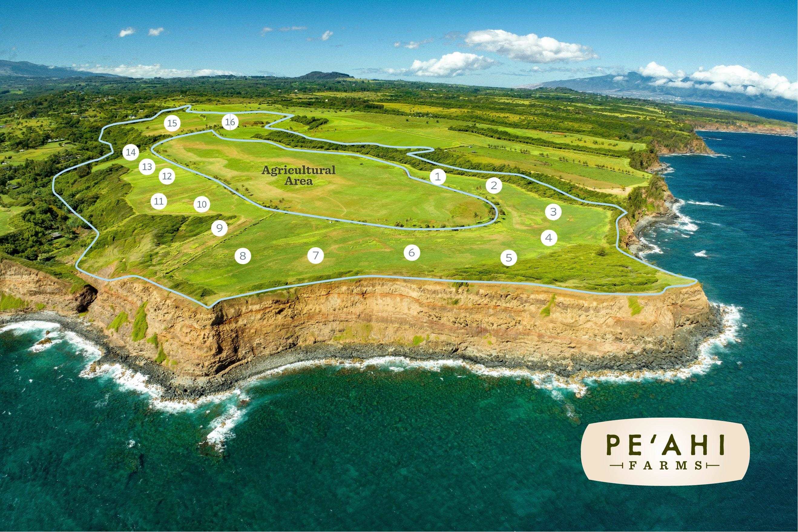 610 Kai Huki Cir Opana Point  - photo 6 of 10