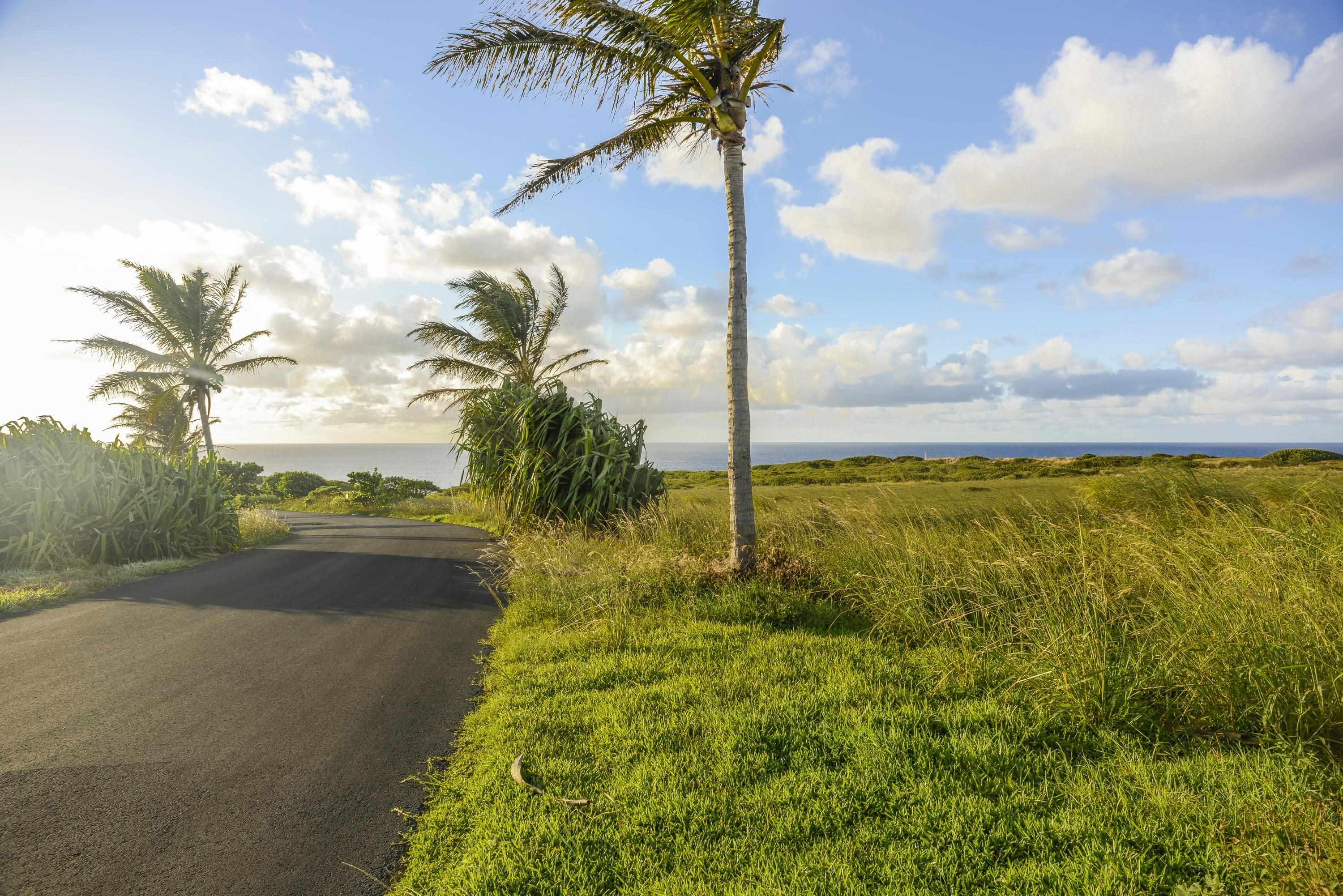 610 Kai Huki Cir Opana Point  - photo 10 of 10