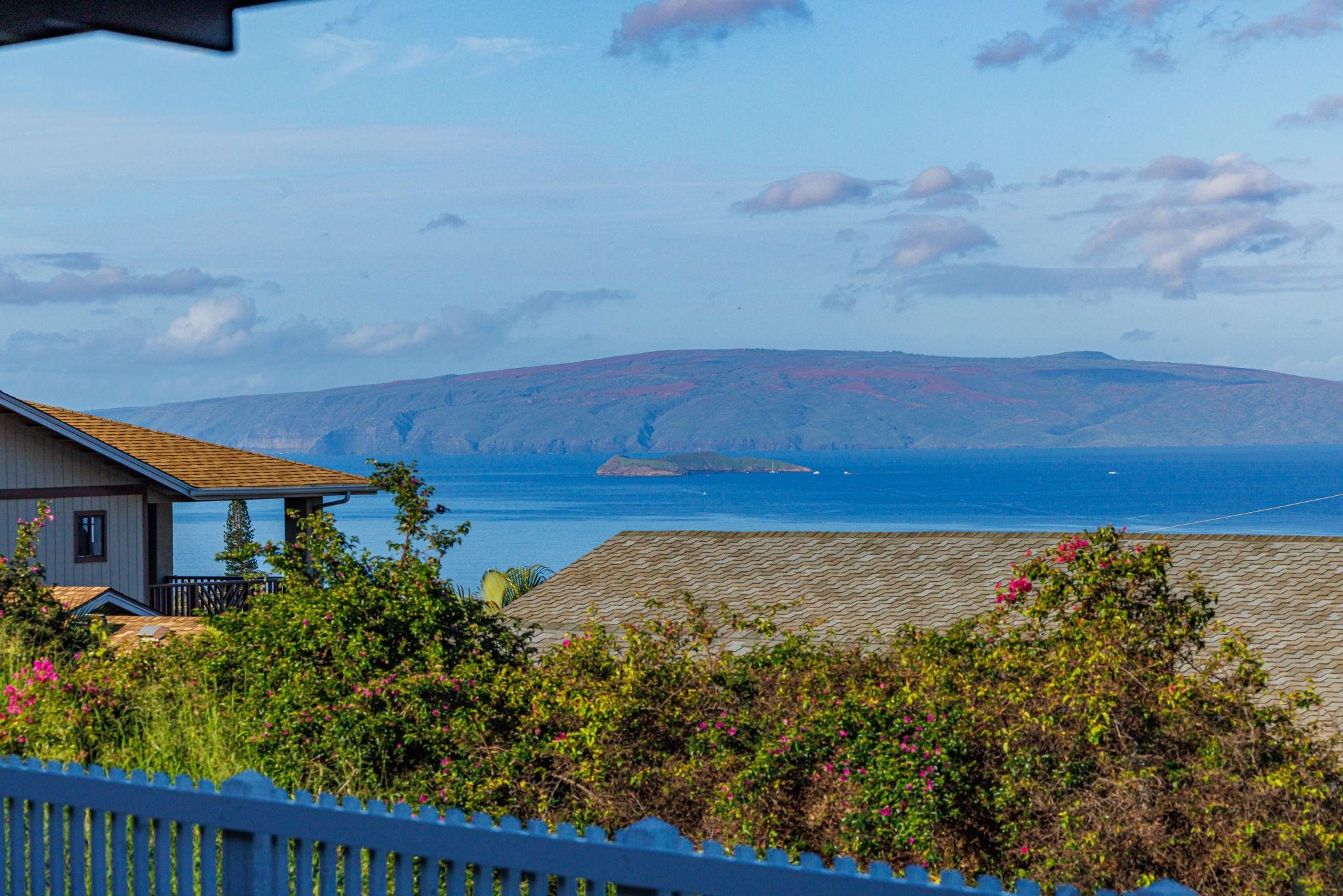 614  Kupulau Pl , Maui Meadows home - photo 29 of 48