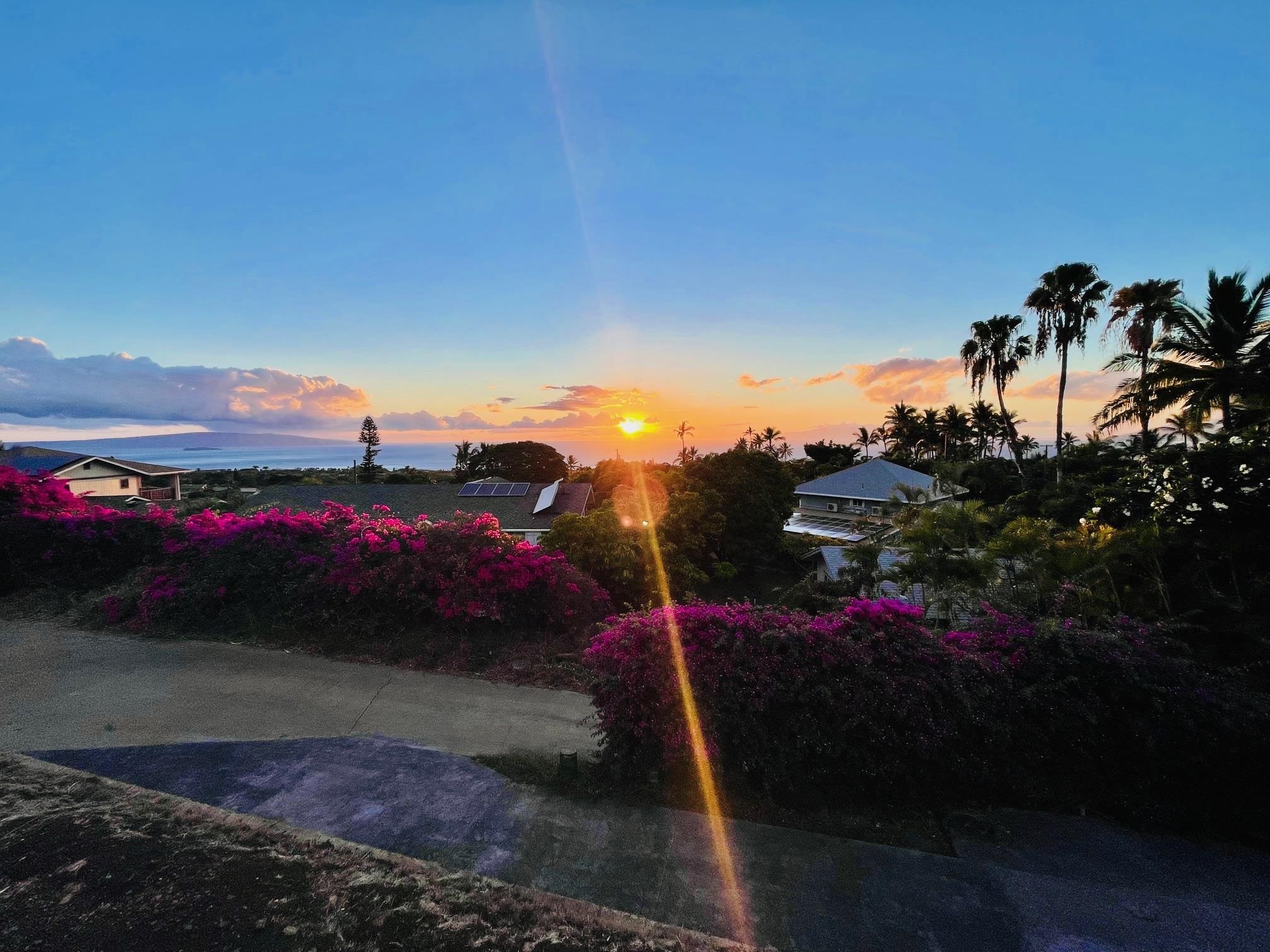 614  Kupulau Pl , Maui Meadows home - photo 30 of 32