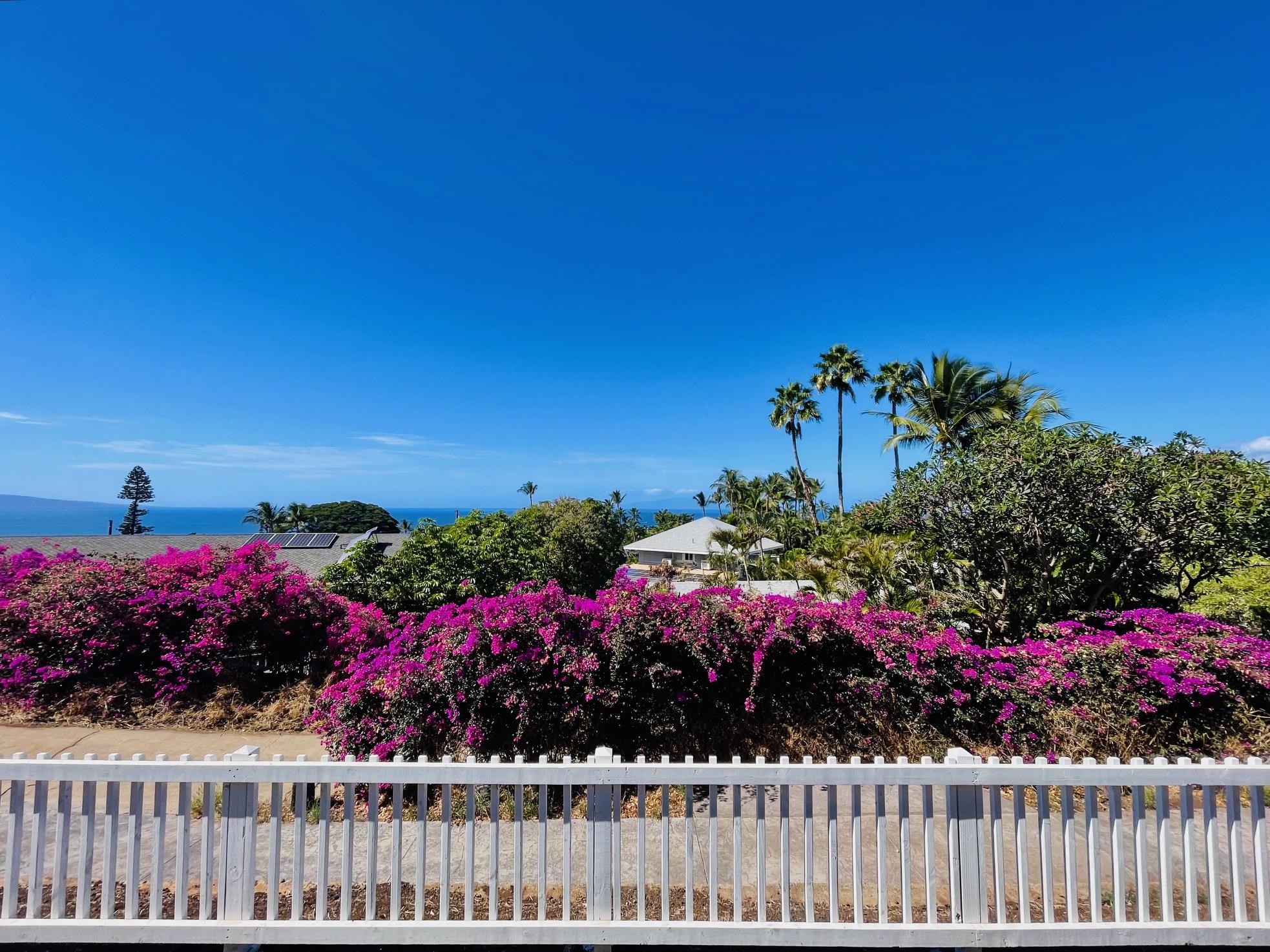 614  Kupulau Pl , Maui Meadows home - photo 7 of 32